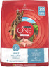 Purina One + Plus SmartBlend Joint and Muscle Health Chicken Dry Dog Food - 31.1 Lbs