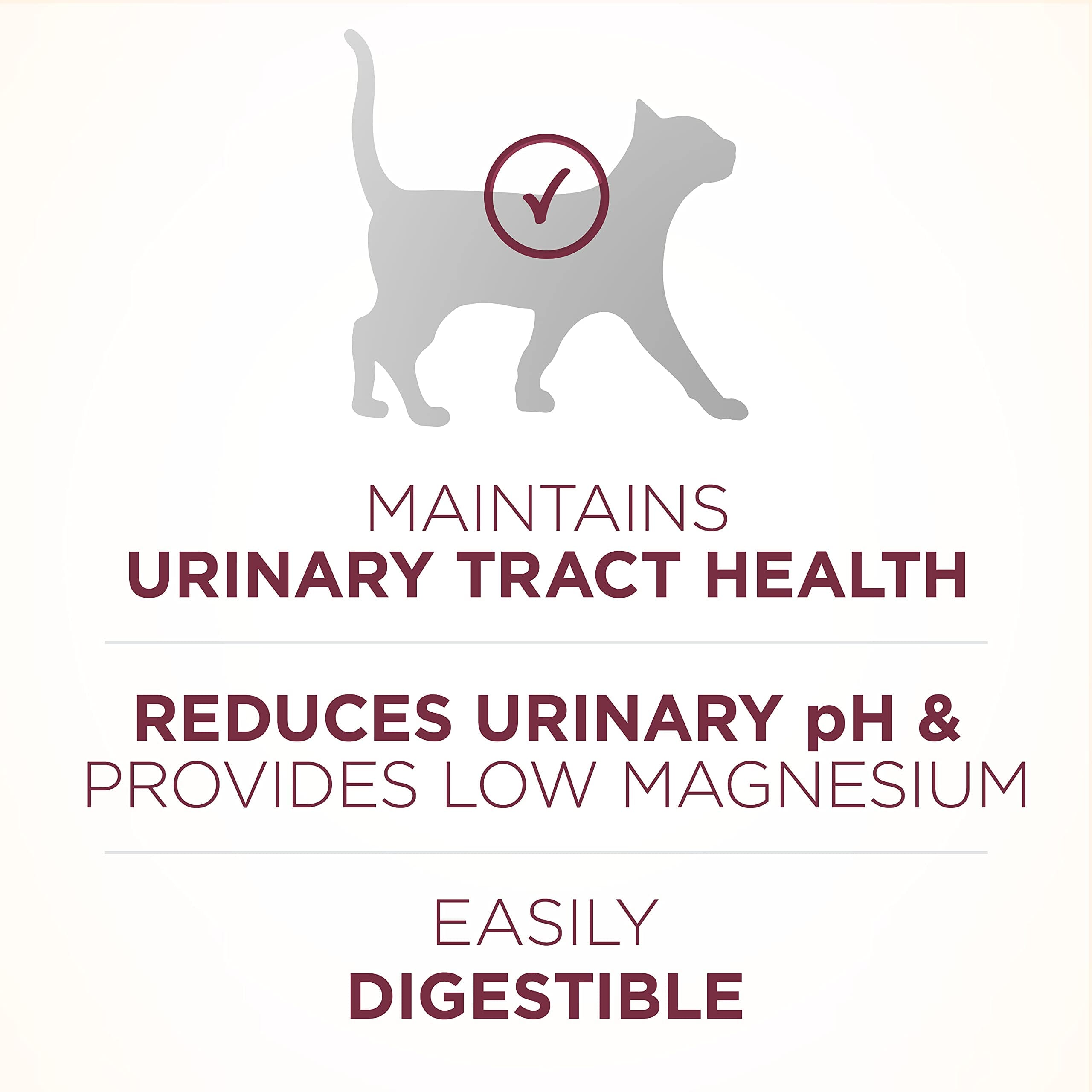 Purina One + Plus Urinary Tract Health Chicken Dry Cat Food - 3.5 Lbs - Case of 4