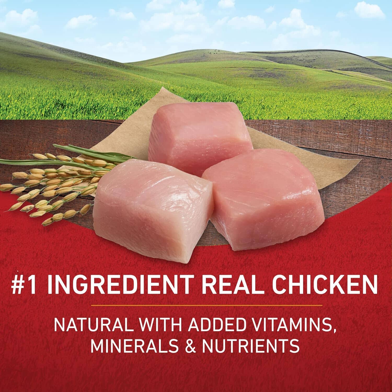 Purina One SmartBlend Chicken and Rice Formula Adult Dry Dog Food - 40 Lbs