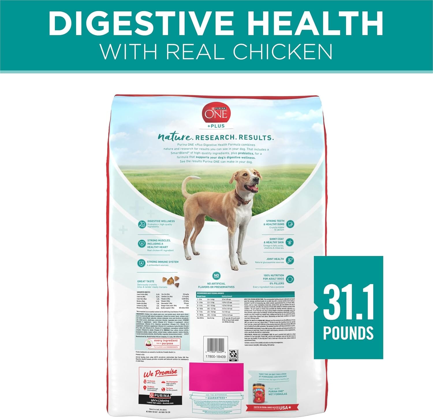 Purina One SmartBlend Digestive Health with Probiotics Tender Morsals Chicken Dry Dog Food - 31.1 Lbs
