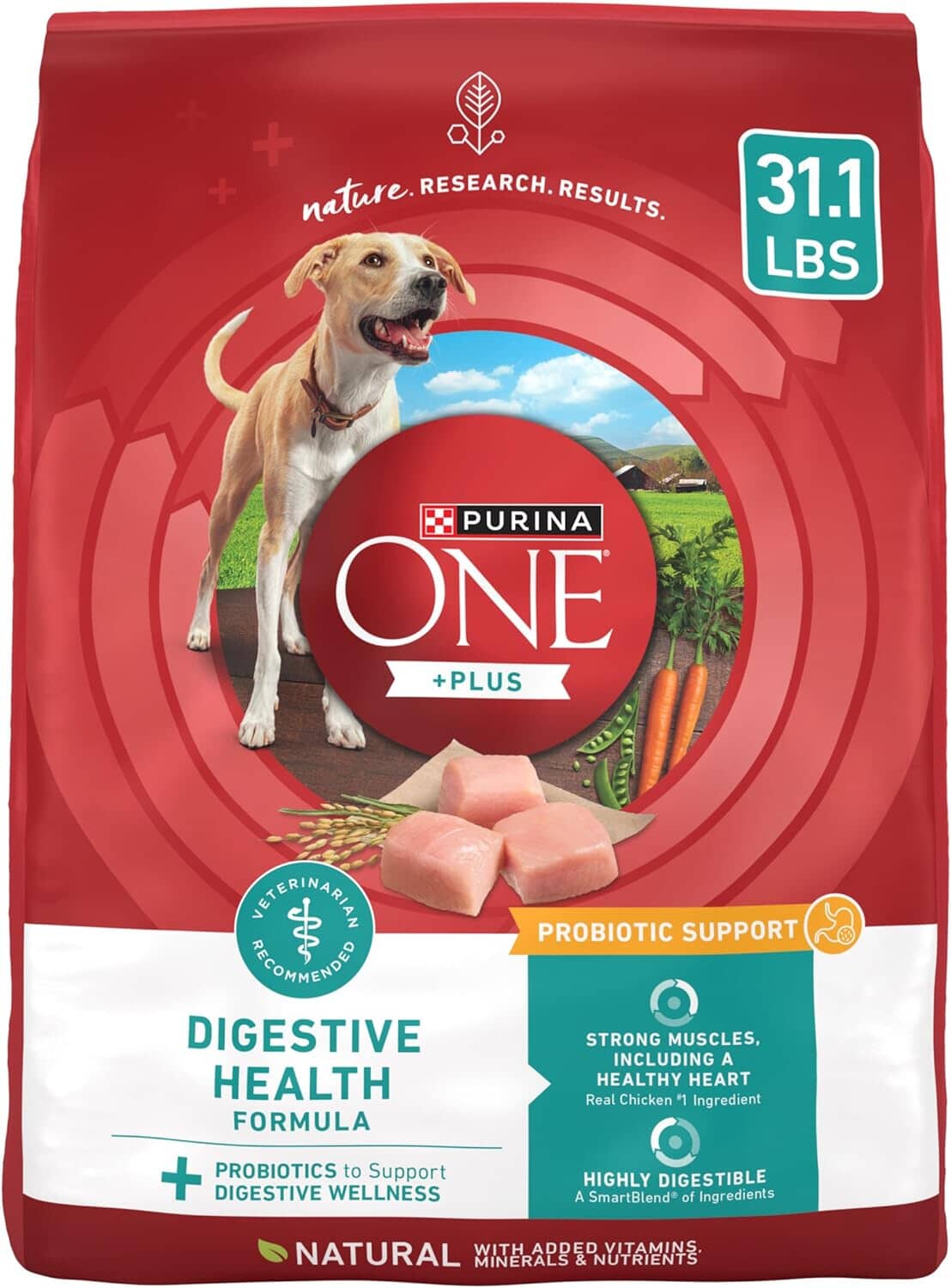 Purina One SmartBlend Digestive Health with Probiotics Tender Morsals Chicken Dry Dog Food - 31.1 Lbs