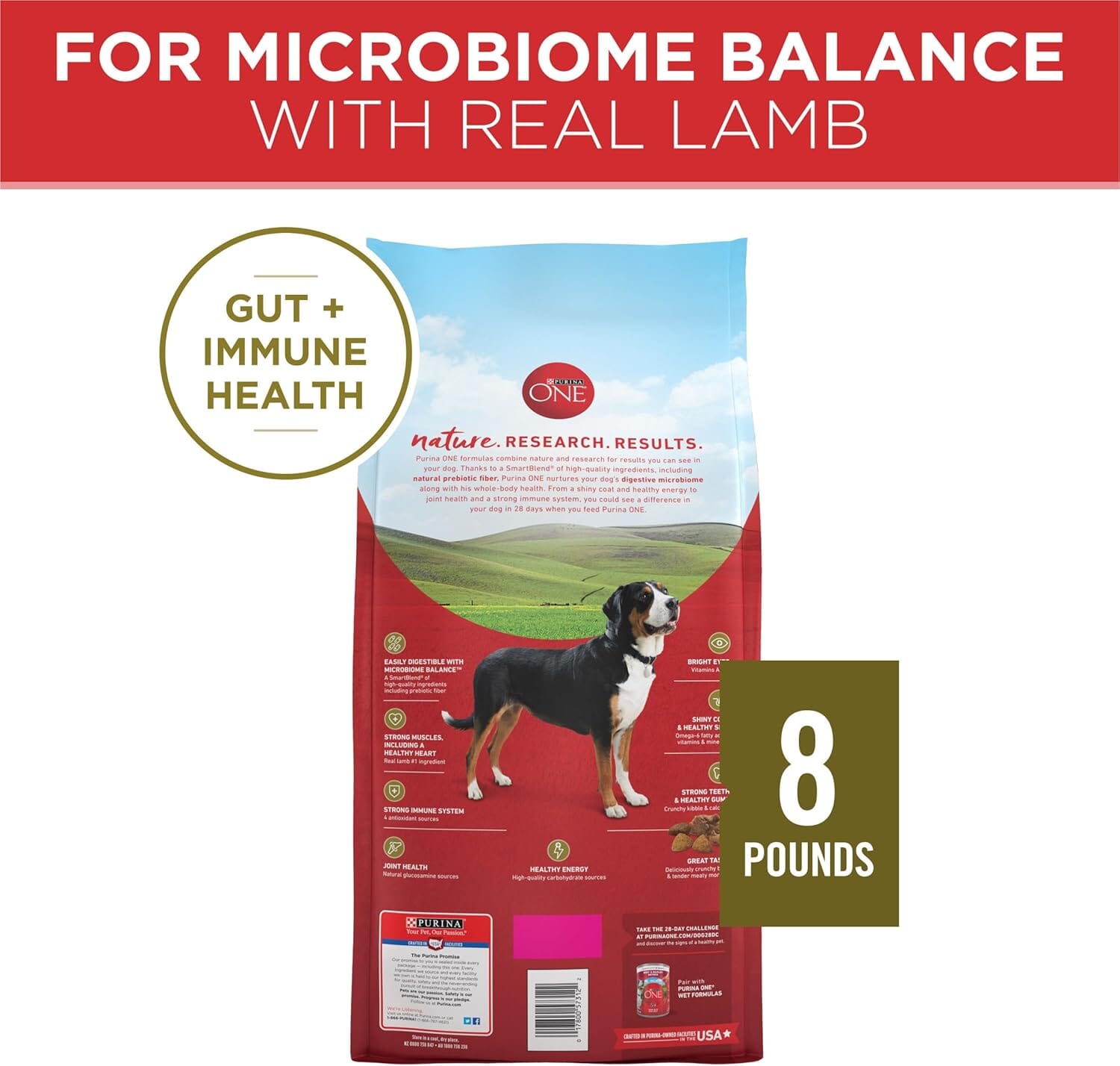 Purina One SmartBlend Heart Muscle and Immune Support Lamb and Rice Dry Dog Food - 8 Lbs - Case of 4