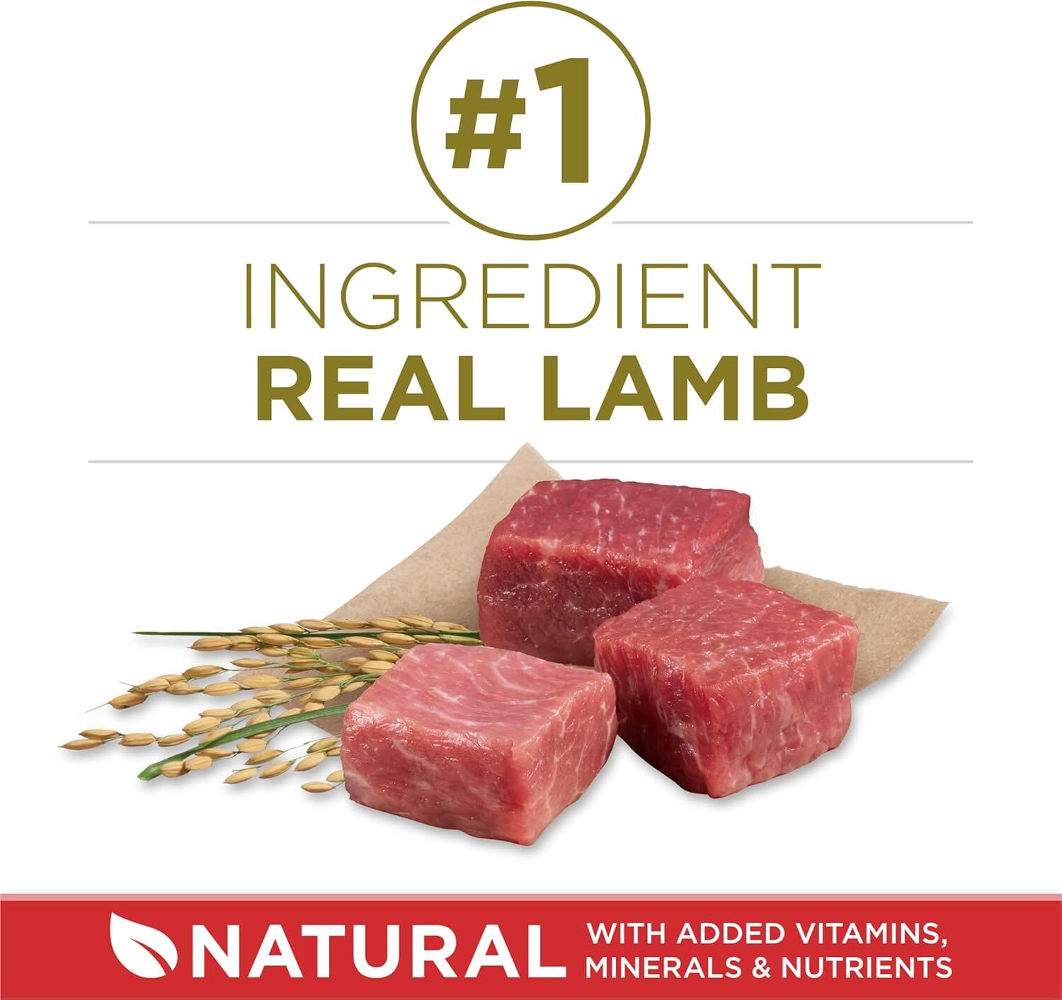 Purina One SmartBlend Heart Muscle and Immune Support Lamb and Rice Dry Dog Food - 8 Lbs - Case of 4