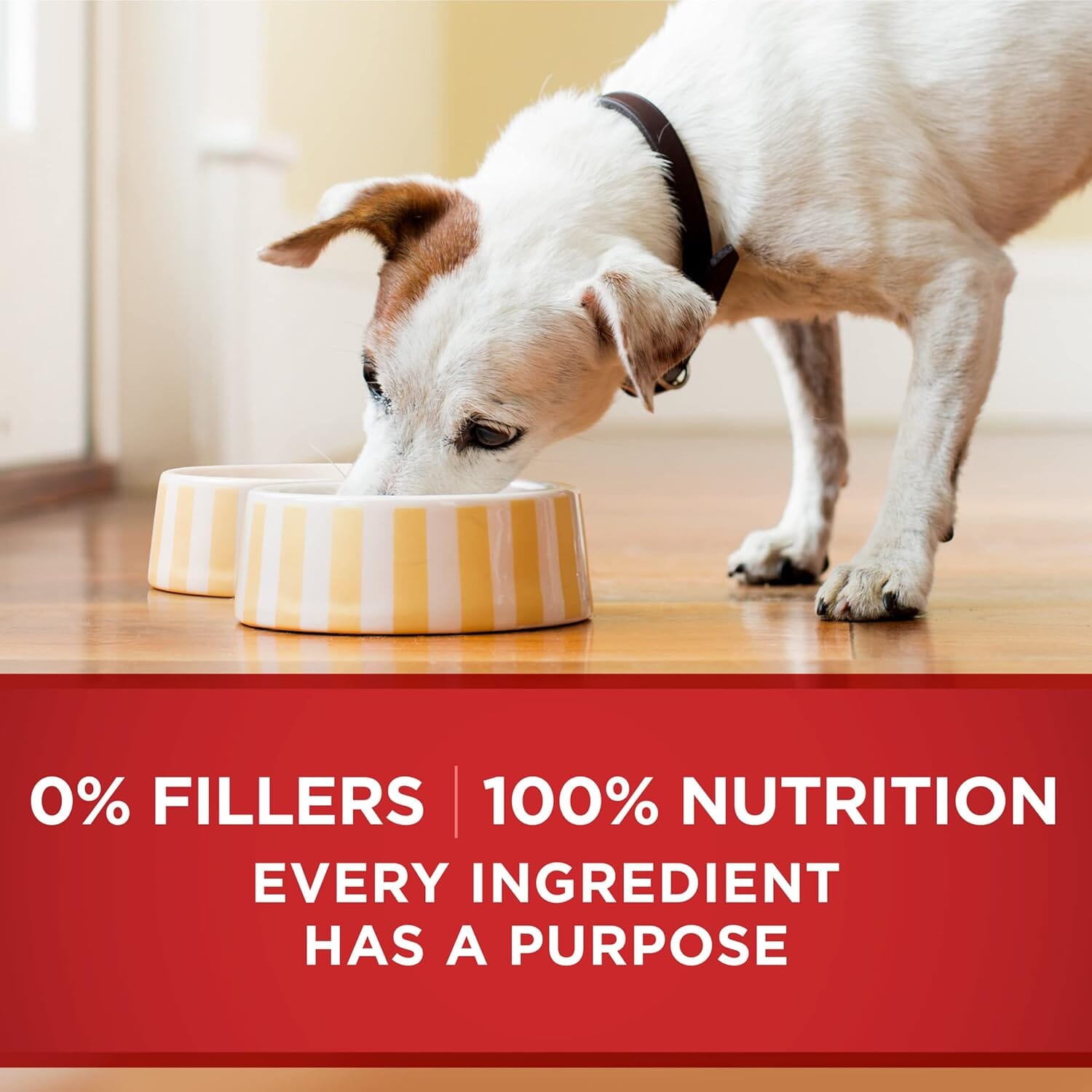 Purina One SmartBlend Tender Cuts in Gravy Chicken and Brown Rice Canned Dog Food - 13 Oz - Case of 12