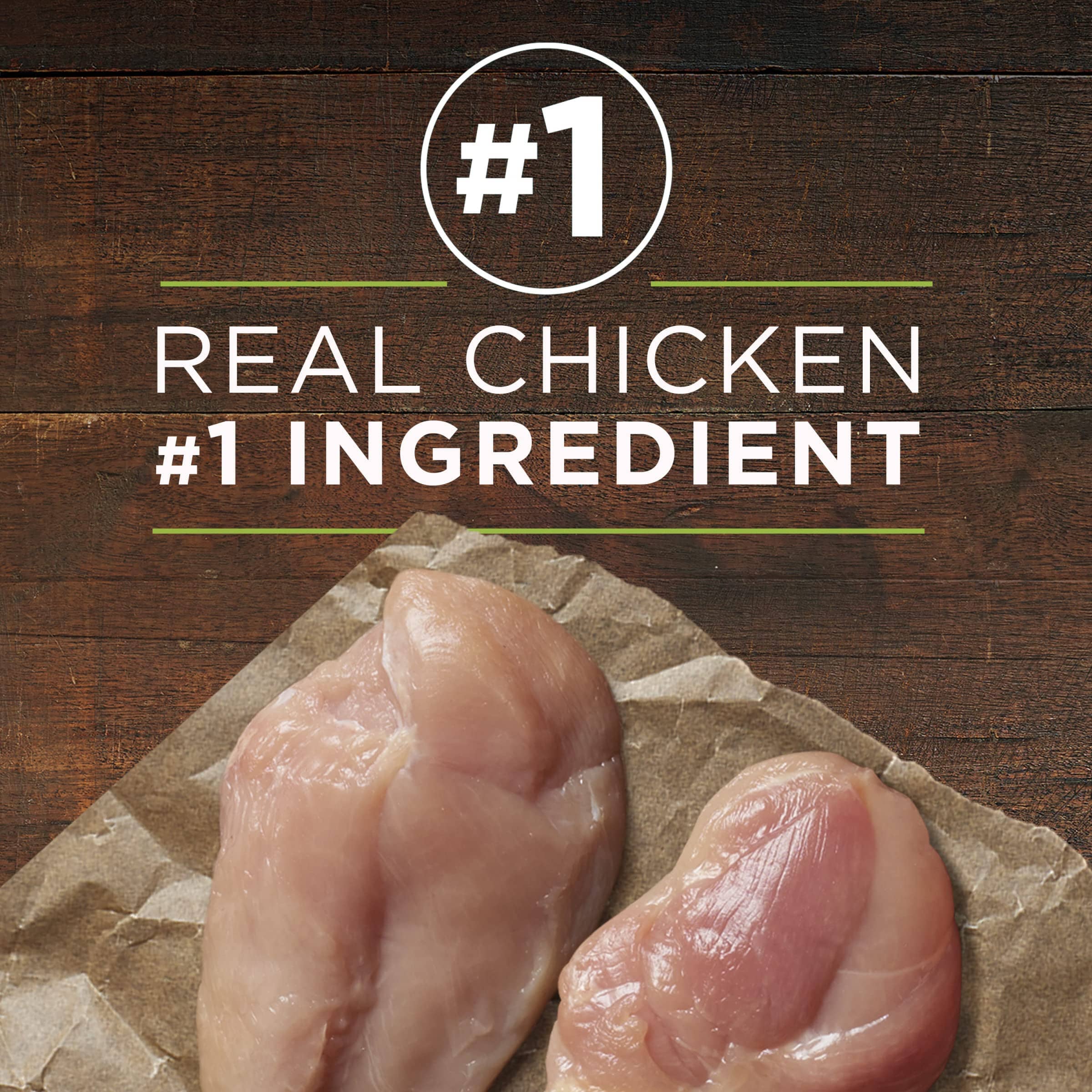 Purina One SmartBlend True Instinct Classic Ground Chicken and Duck Canned Dog Food - 13 Oz - Case of 12