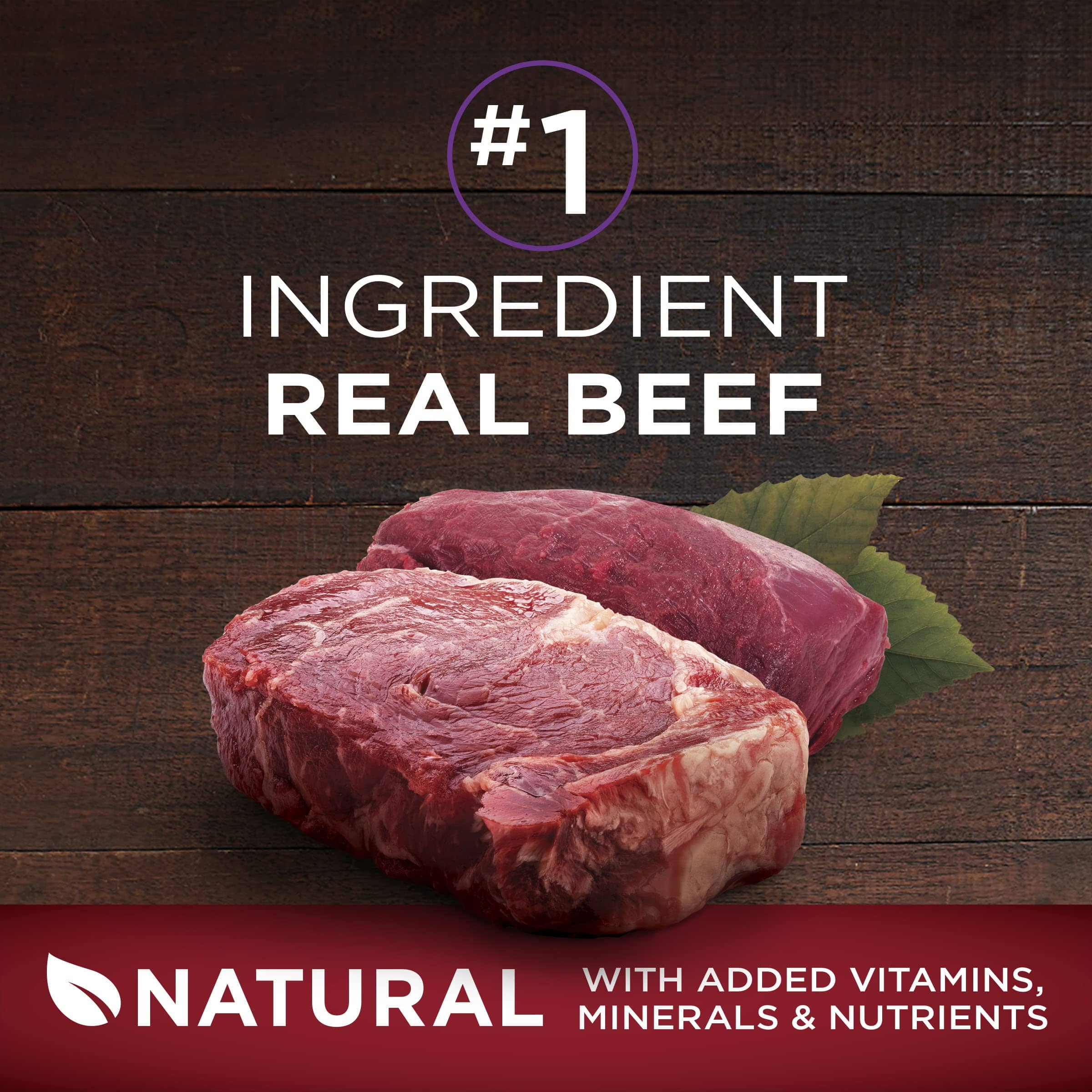 Purina One SmartBlend True Instinct Grain-Free Beef and Bison Canned Dog Food - 13 Oz - Case of 12