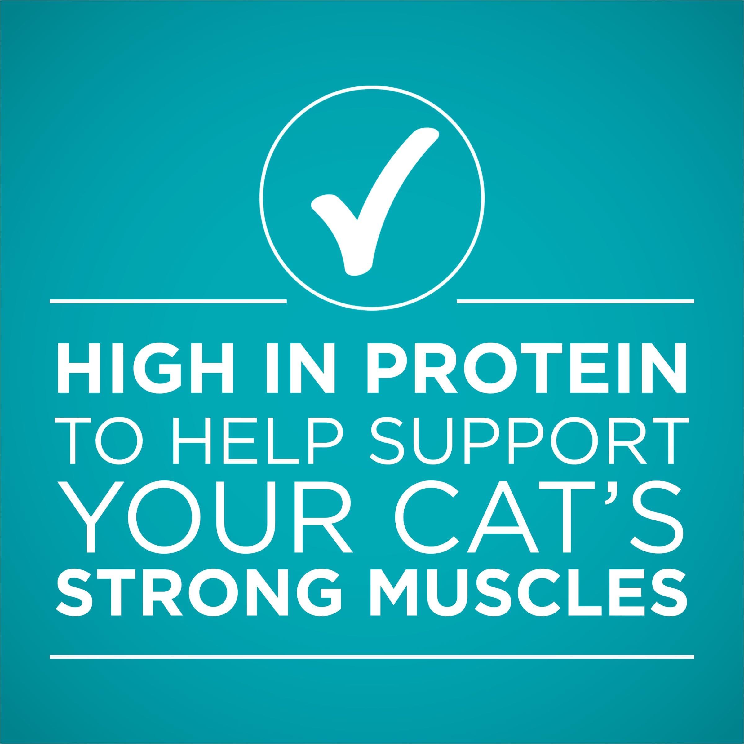 Purina One SmartBlend True Instinct High-Protein Turkey in Gravy Canned Cat Food - 3 Oz - Case of 24