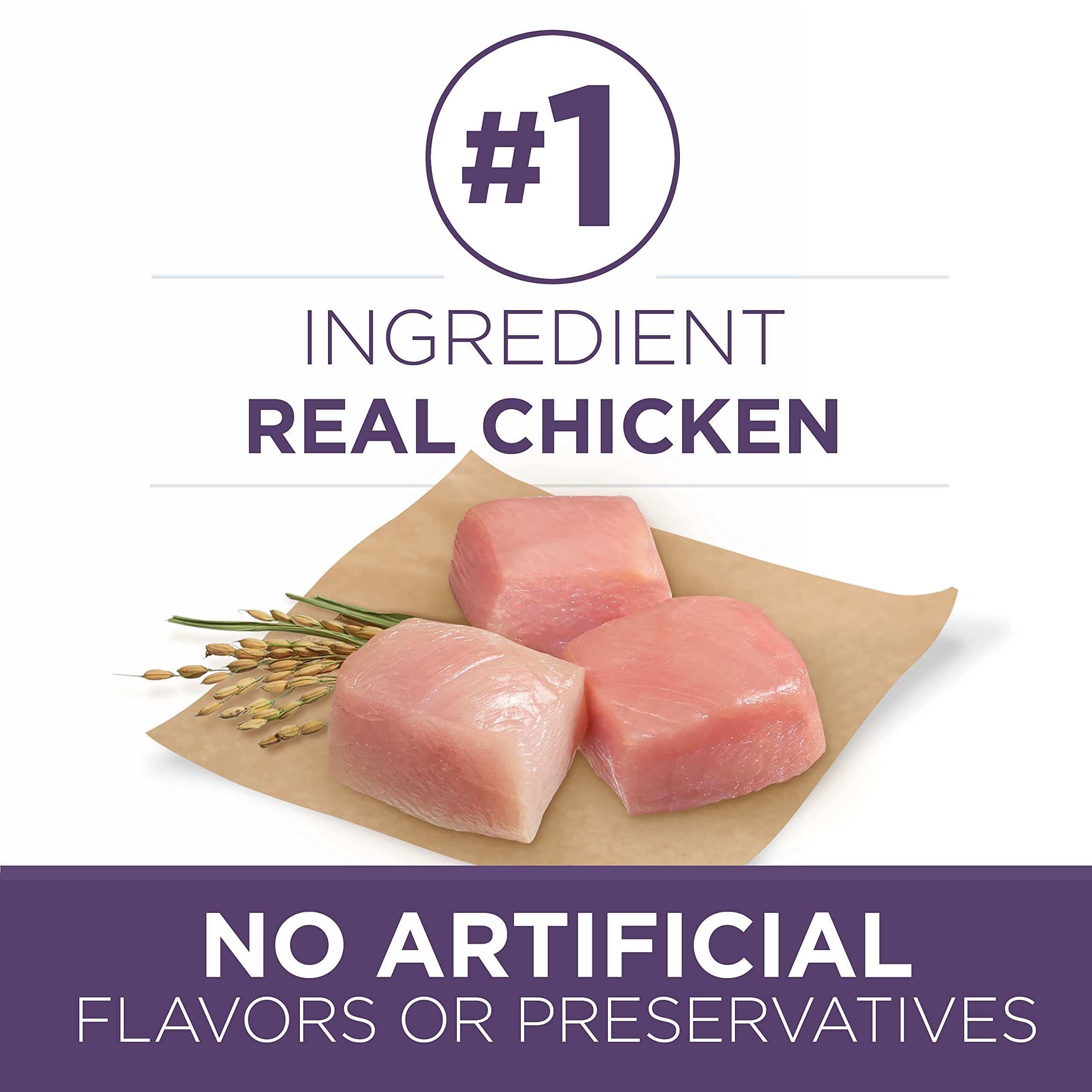 Purina One SmartBlend Vibrant Maturity 7+ Senior Adult Chicken Dry Dog Food - 16.5 Lbs