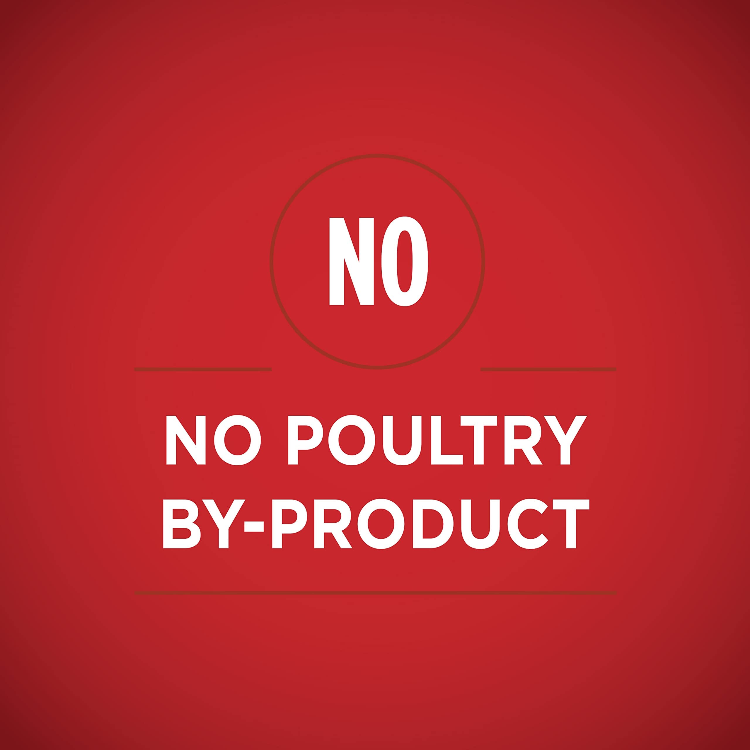 Purina One Tender Cuts in Gravy Beef and Barley Canned Dog Food - 13 Oz - Case of 12