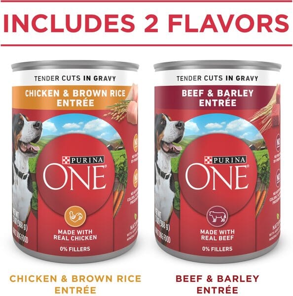 Purina One Tender Cuts in Gravy Chicken Brown Rice and Beef Barley Adult Canned Dog Food - Variety Pack - 13 Oz - Case of 6 - 2 Pack