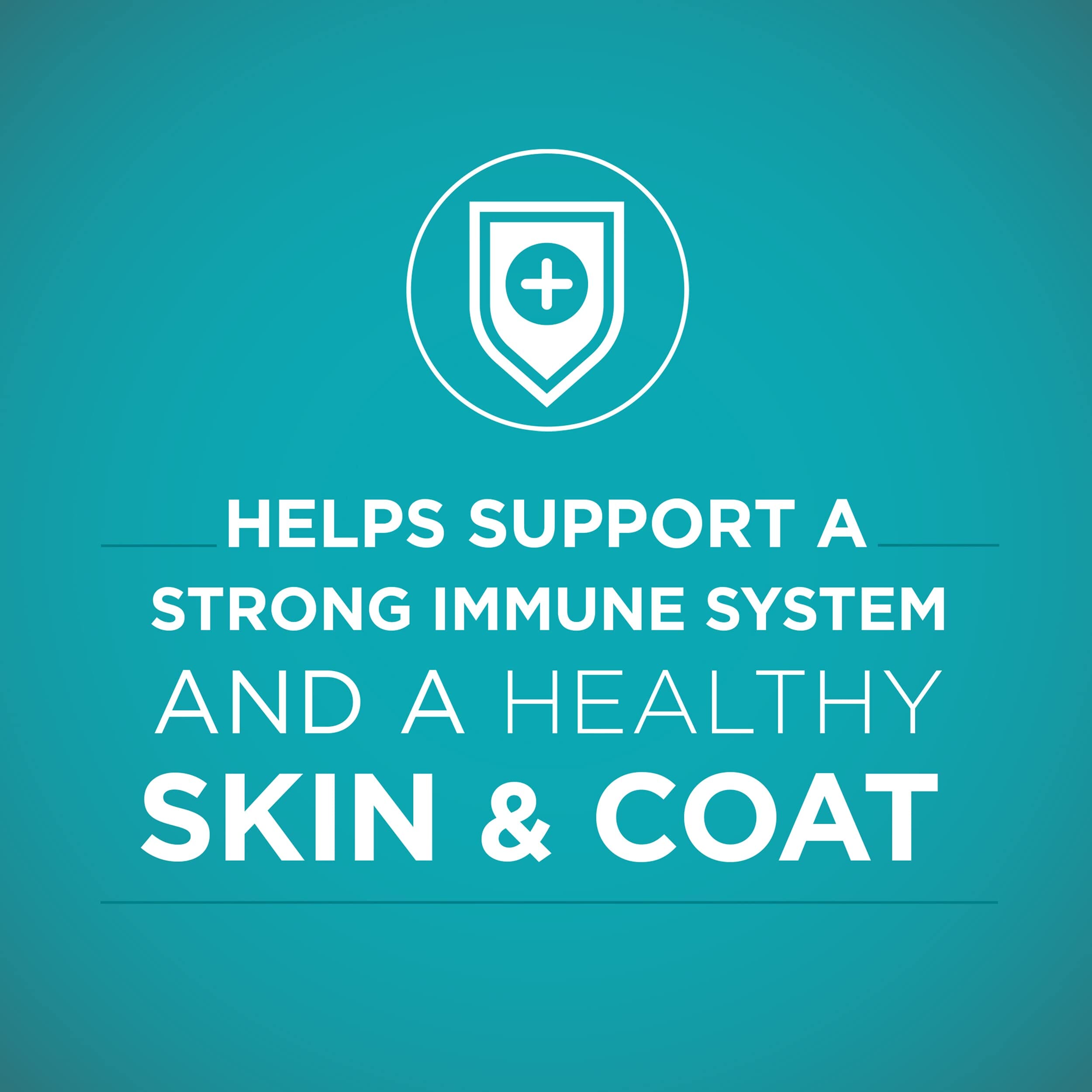 Purina One Tender Selects Blend Chicken Carrots Peas and Rice Dry Cat Food - 3.5 Lbs - Case of 4