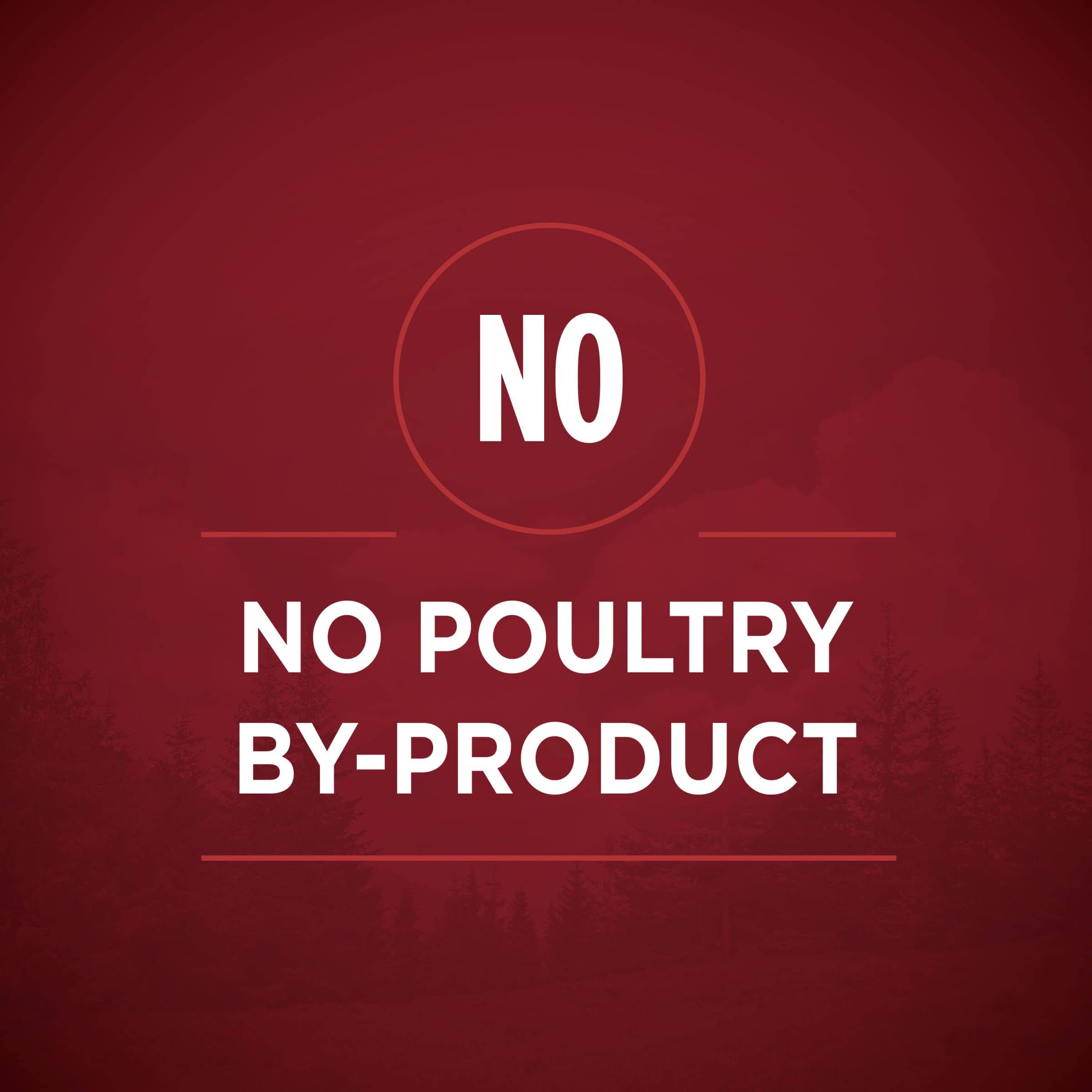 Purina One True Instinct High-Protein Tender Cuts in Gravy Beef and Salmon Canned Dog Food - 13 Oz - Case of 12