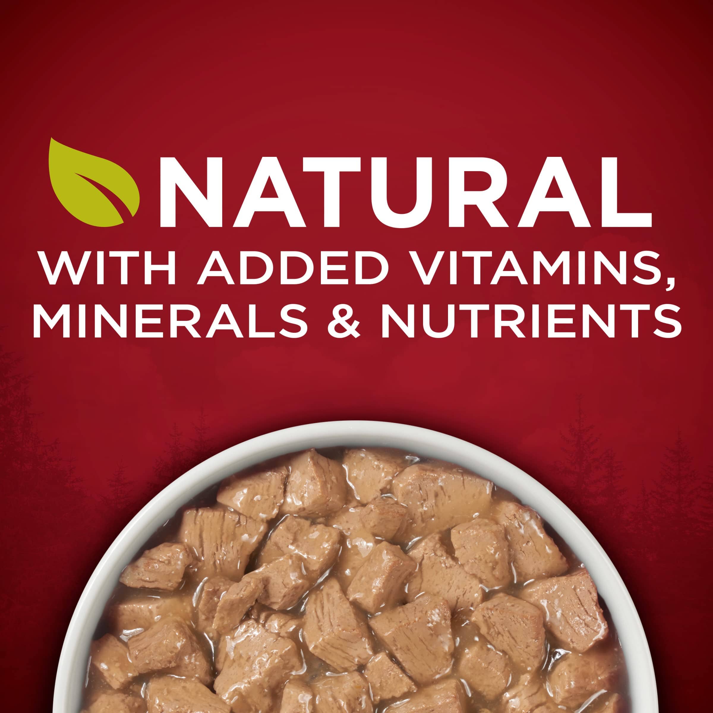 Purina One True Instinct High-Protein Tender Cuts in Gravy Beef and Salmon Canned Dog Food - 13 Oz - Case of 12