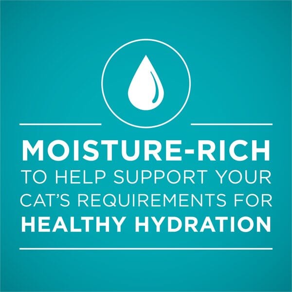 Purina One True Instinct Salmon and Trout Canned Cat Food - 3 Oz - Case of 24