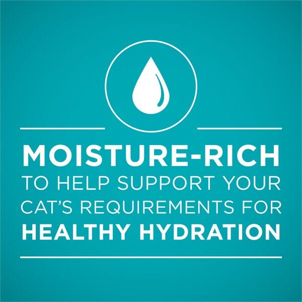 Purina One Urinary Tract Health Beef and Liver Pate Canned Cat Food - 3 Oz - Case of 12