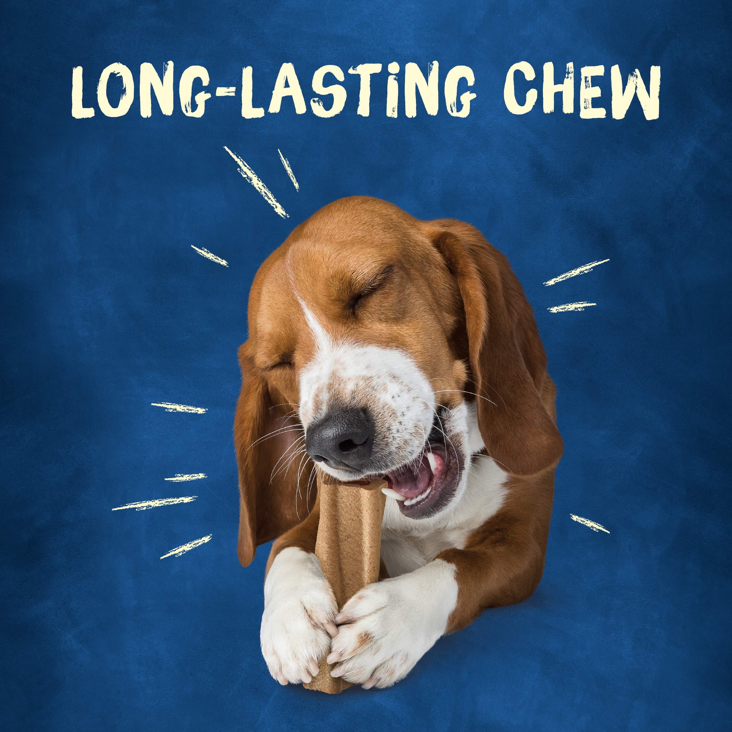 Purina Original Busy Bone with Real Meat Pork Hard Chews Dog Treats - Small/Medium - 21 Oz - Case of 4