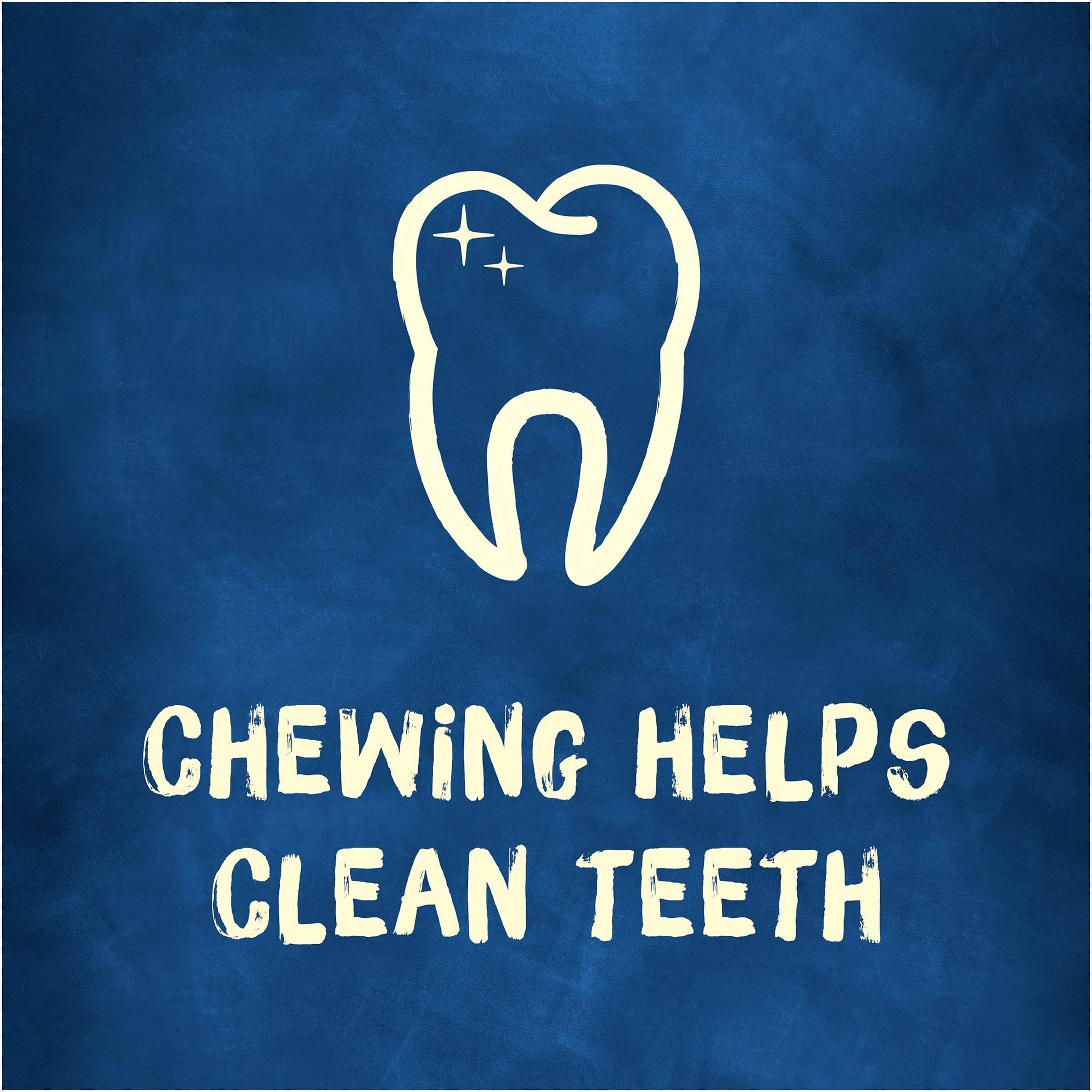 Purina Original Busy Bone with Real Meat Pork Hard Chews Dog Treats - Small/Medium - 7 Oz - Case of 6