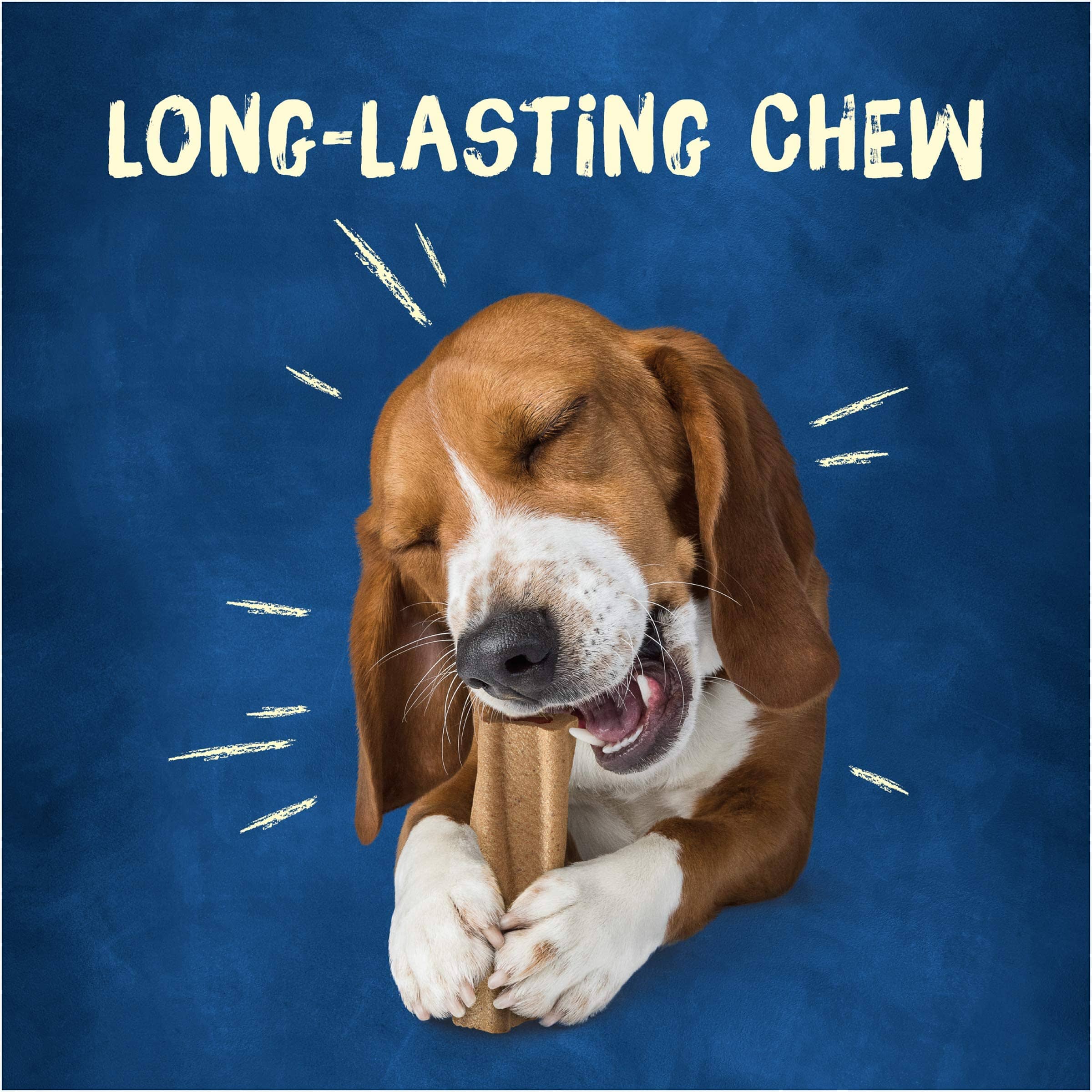 Purina Original Busy Bone with Real Meat Pork Hard Chews Dog Treats - Small/Medium - 7 Oz - Case of 6