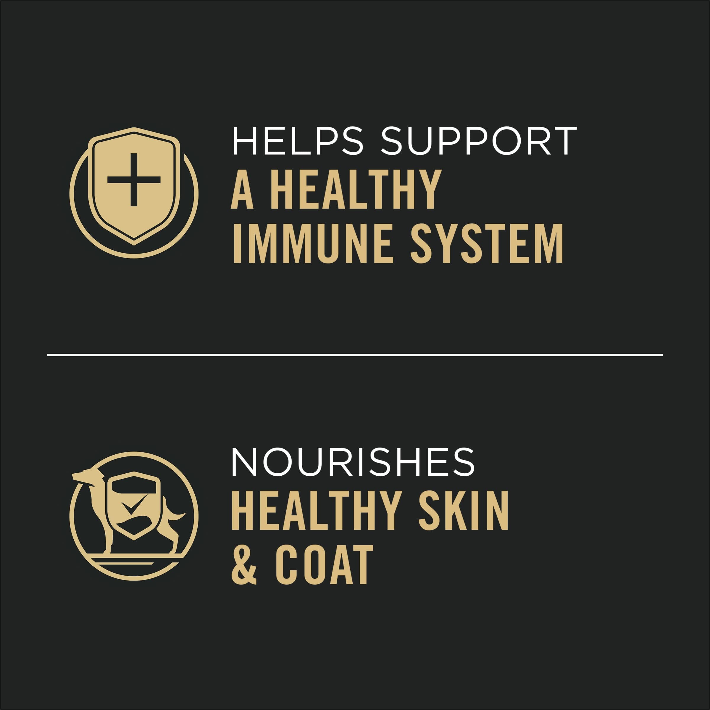 Purina Pro Plan Beef and Rice Chunks in Gravy Adult Large-Breed Canned Dog Food - 13 Oz - Case of 12