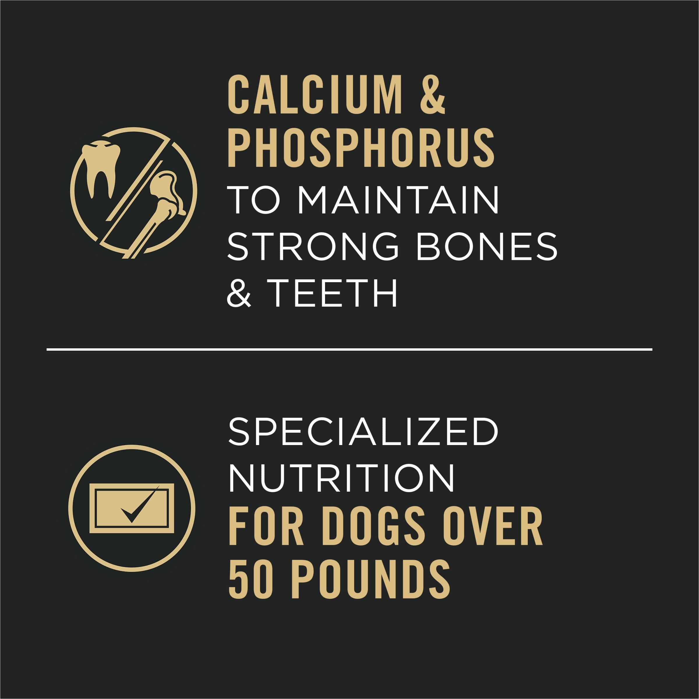 Purina Pro Plan Beef and Rice Chunks in Gravy Adult Large-Breed Canned Dog Food - 13 Oz - Case of 12