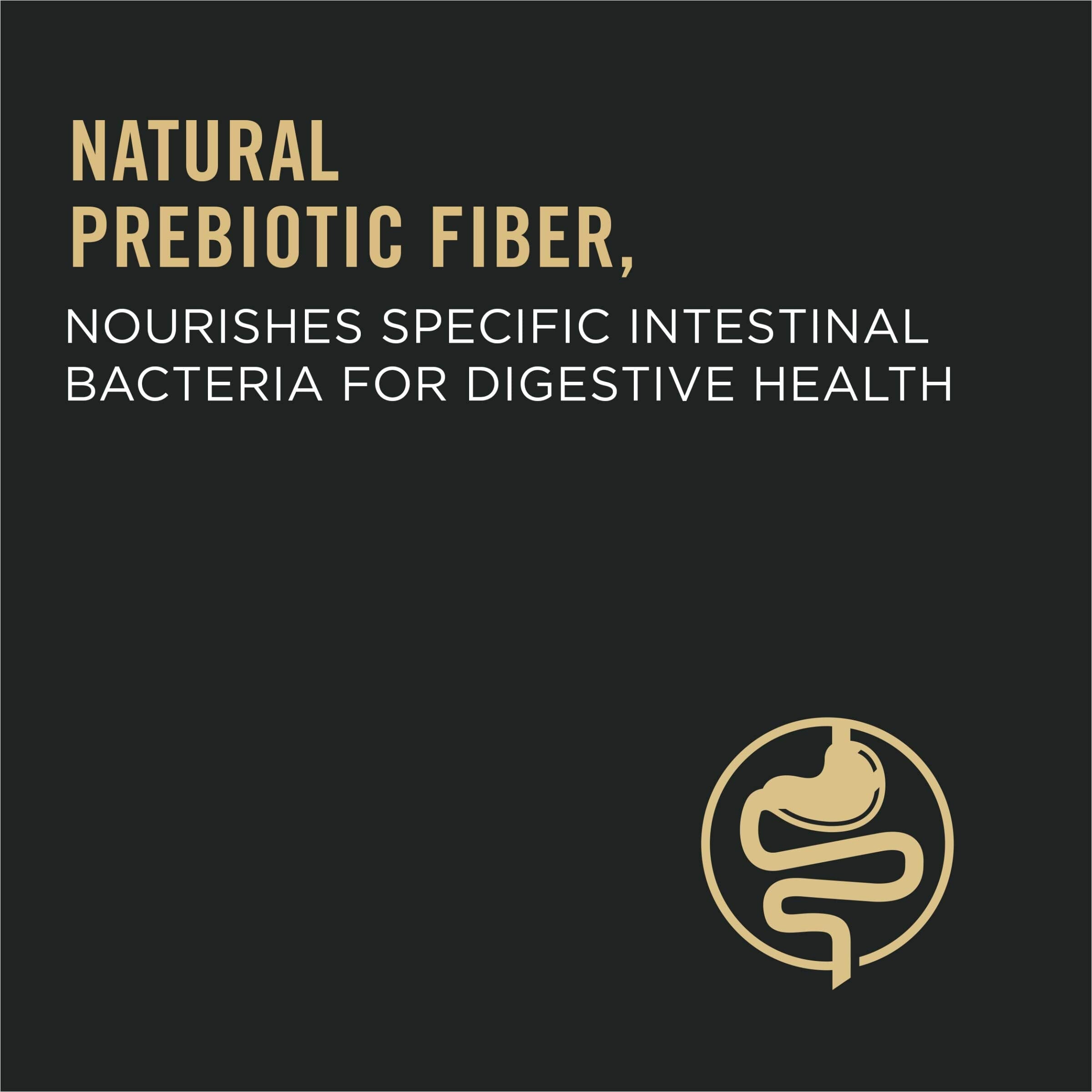 Purina Pro Plan Complete Essentials Savor Salmon and Rice Dry Cat Food - 3.5 Lbs - Case of 6