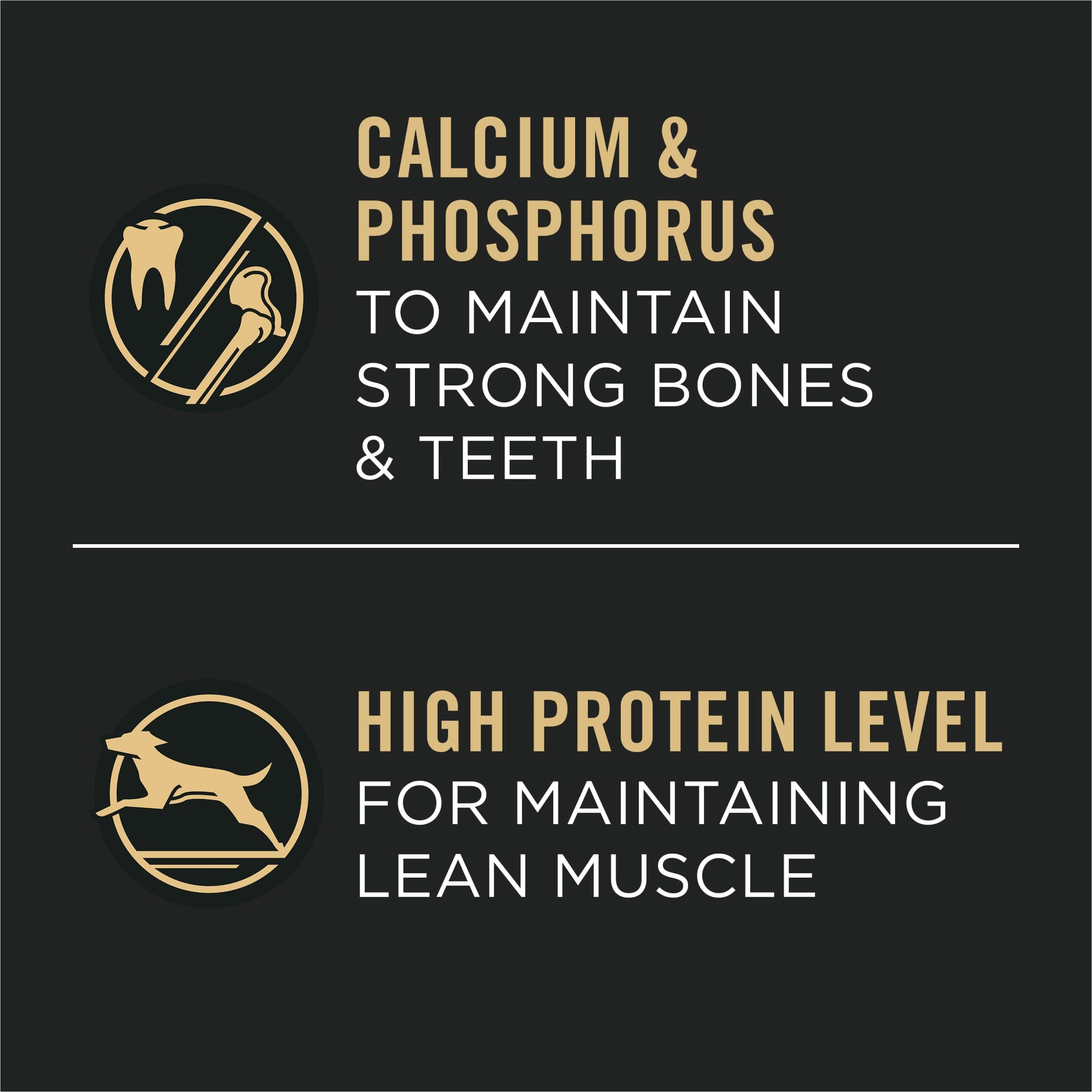 Purina Pro Plan Focus Chunks in Gravy Chicken and Rice Large-Breed Canned Dog Food - 13 Oz - Case of 12