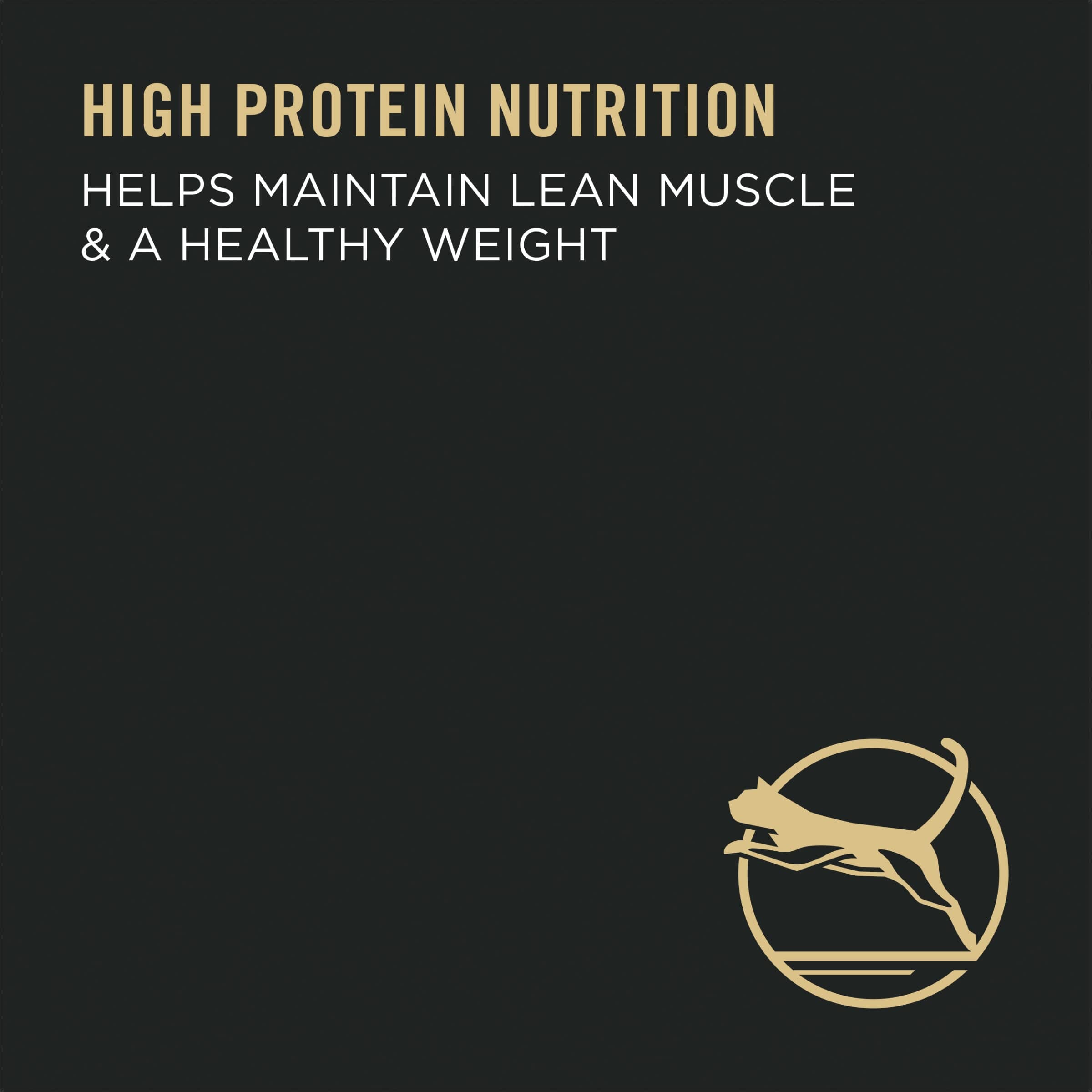 Purina Pro Plan Focus Turkey and Rice Formula Indoor Adult Dry Cat Food - 3.5 Lbs - Case of 6