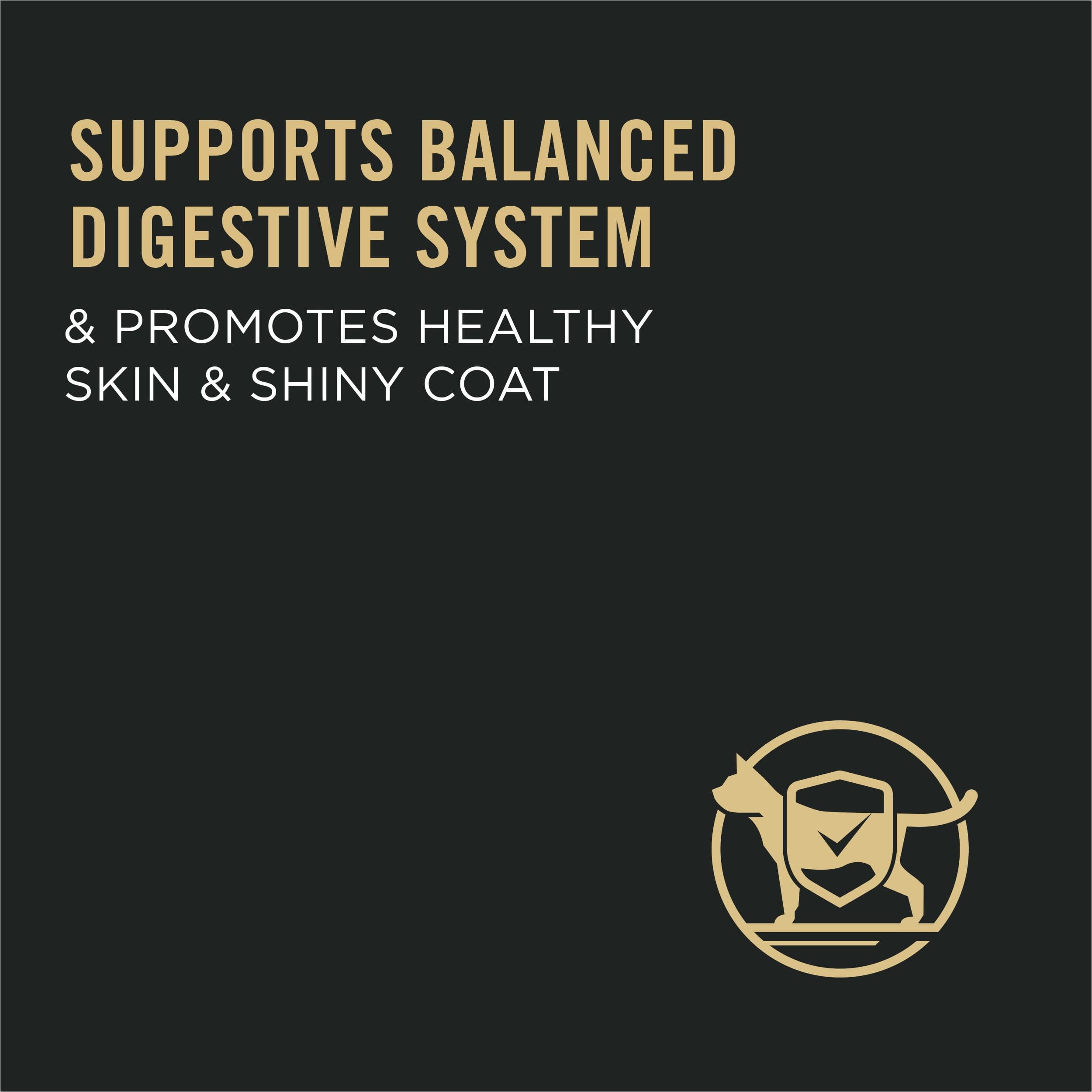 Purina Pro Plan Sensitive Skin and Stomach Lamb and Rice 7+ Senior Adult Dry Cat Food - 7 Lbs - Case of 5