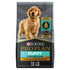 Purina Pro Plan Shredded Blend Chicken and Rice Puppy Formula Dry Dog Food - 18 Lbs