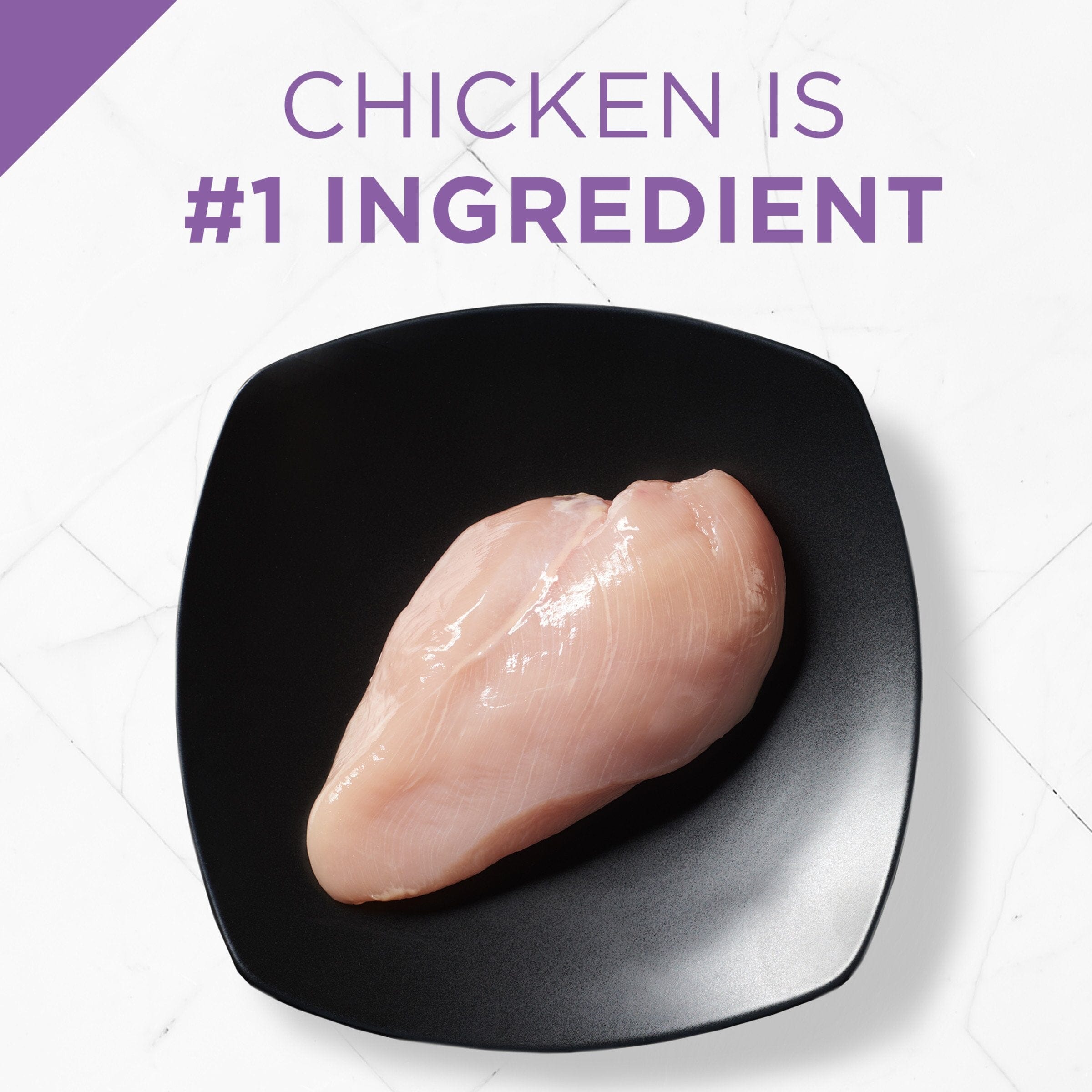 Purina Pro Plan Sport Active 26/16 Chicken and Rice Dry Dog Food - 37.5 Lbs