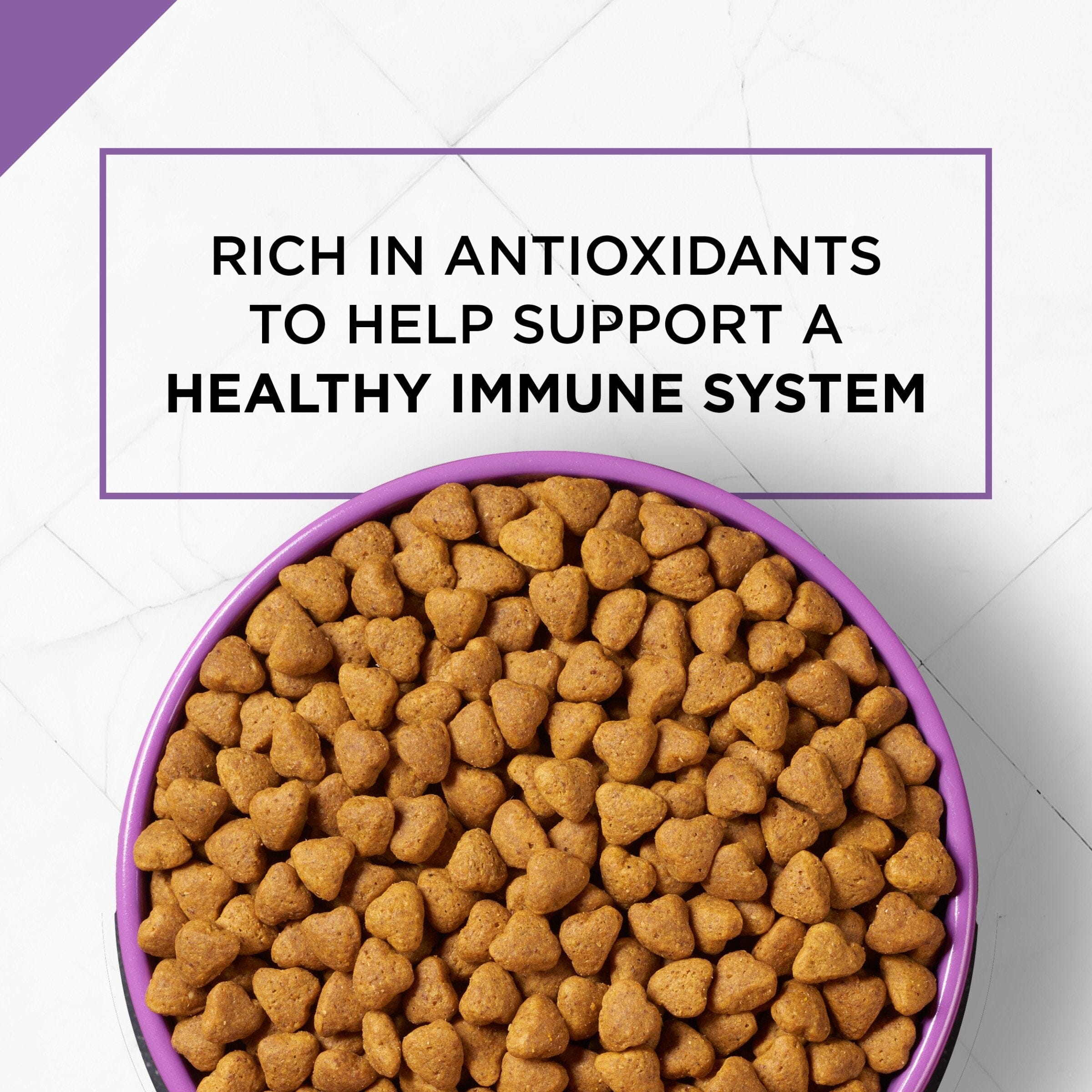 Purina Pro Plan Sport Active 26/16 Chicken and Rice Dry Dog Food - 37.5 Lbs