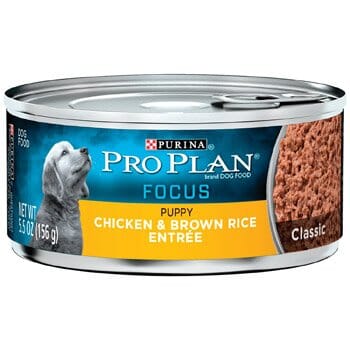 Purina Pro Plan Sport Development Chicken and Rice Puppy Canned Dog Food - 5.5 Oz - Case of 24