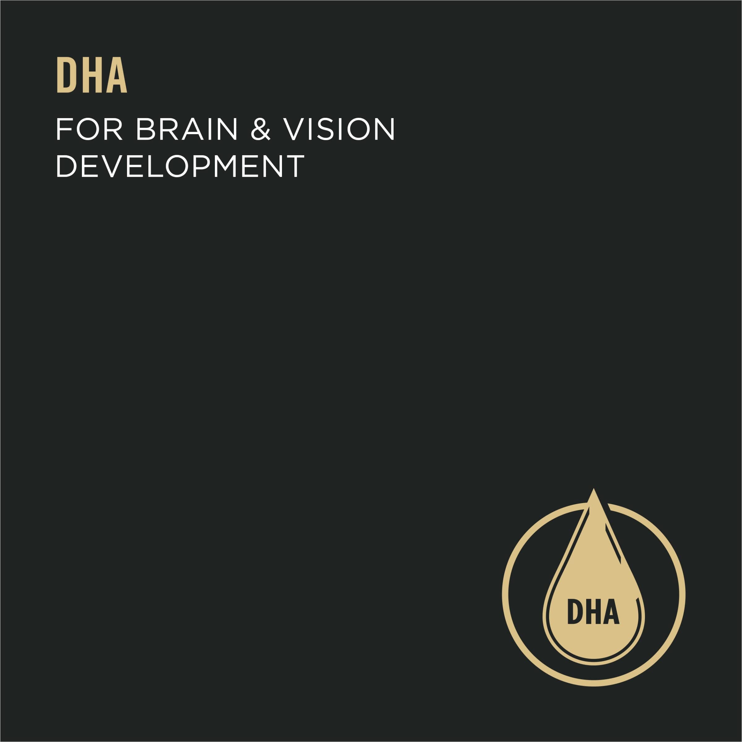 Purina Pro Plan Sport Development Chicken and Rice Puppy Canned Dog Food - 5.5 Oz - Case of 24