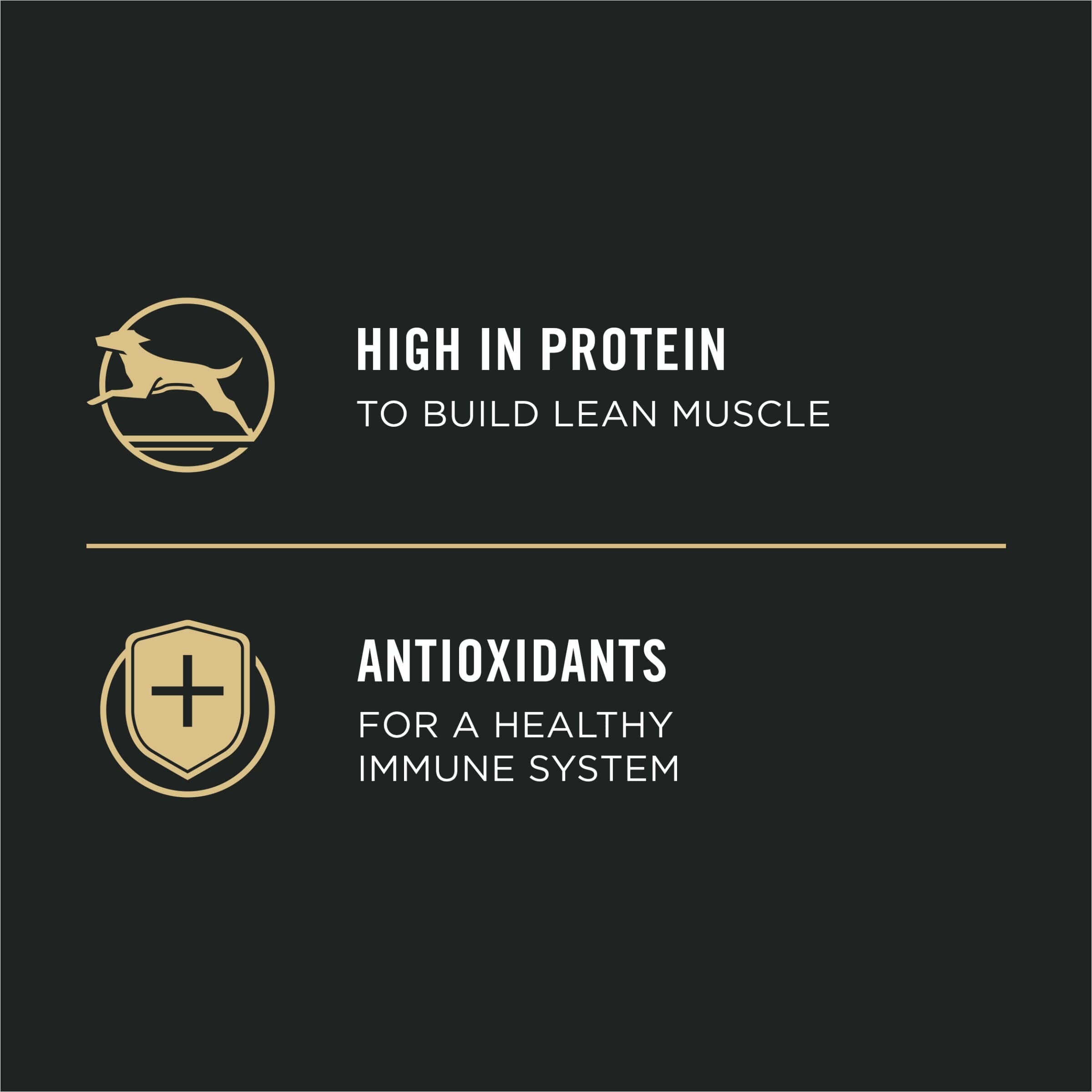 Purina Pro Plan Sport Development Chicken and Rice Puppy Canned Dog Food - 5.5 Oz - Case of 24