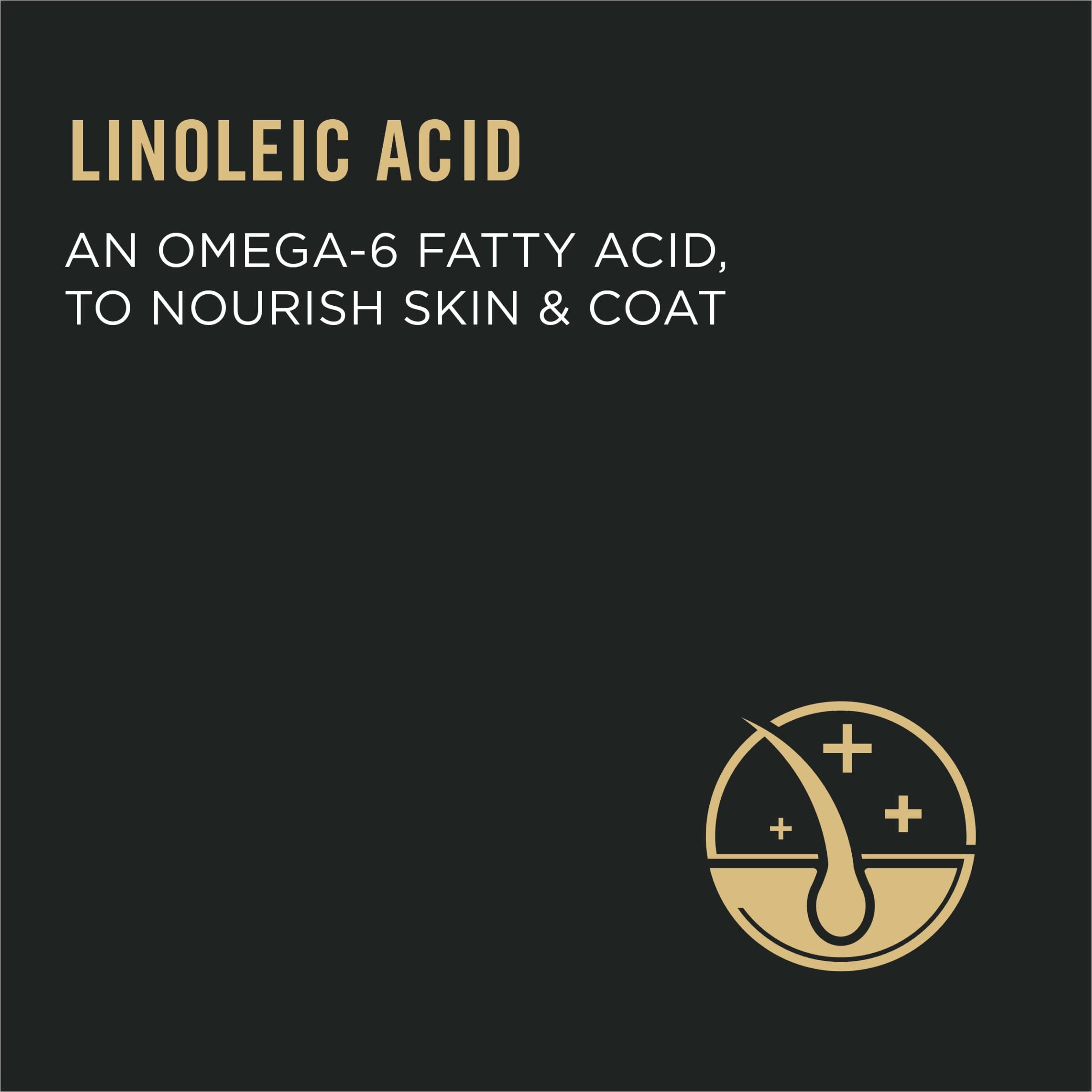 Purina Pro Plan Urinary Tract Health Chicken and Rice Dry Cat Food - 3.5 Lbs - Case of 6