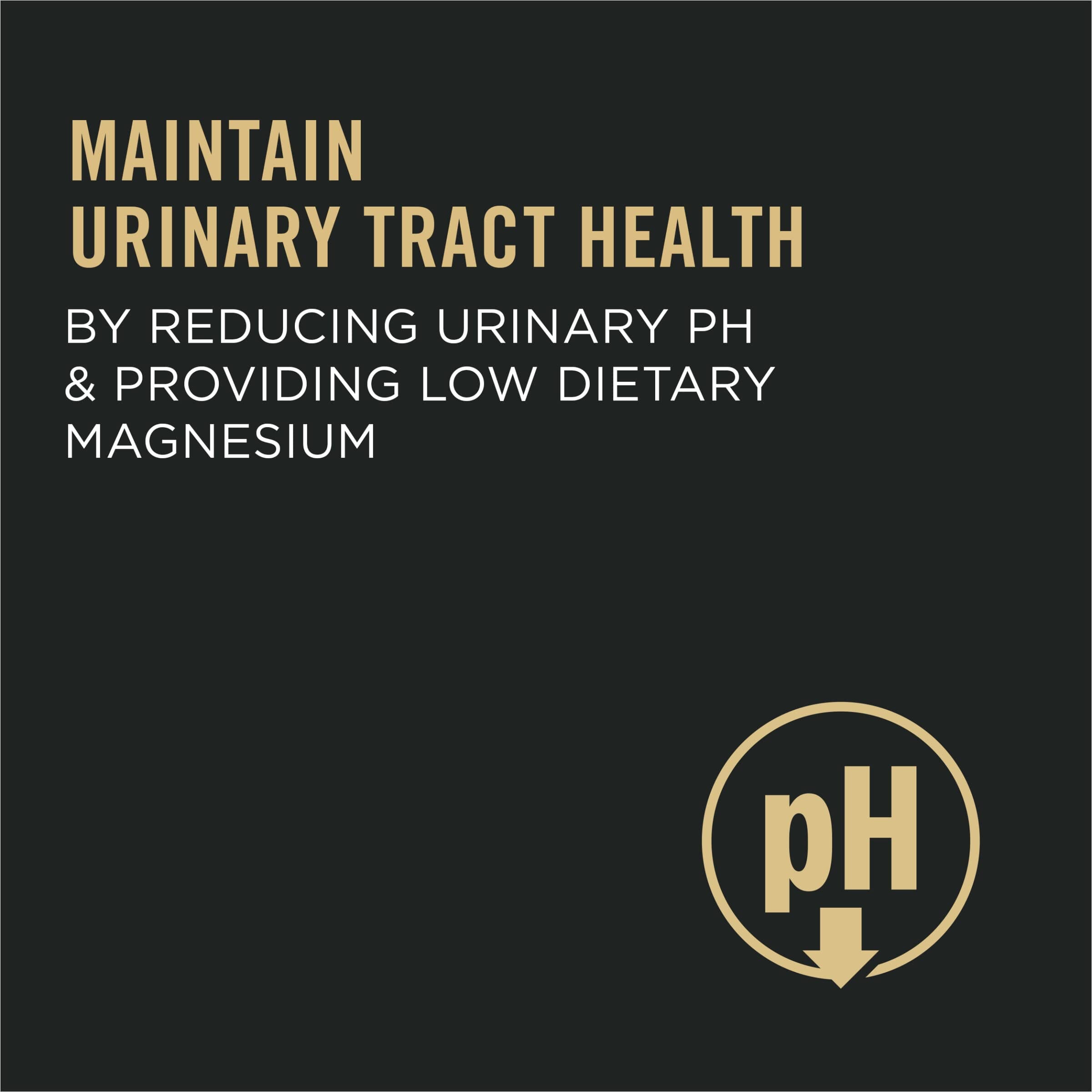 Purina Pro Plan Urinary Tract Health Chicken and Rice Dry Cat Food - 3.5 Lbs - Case of 6