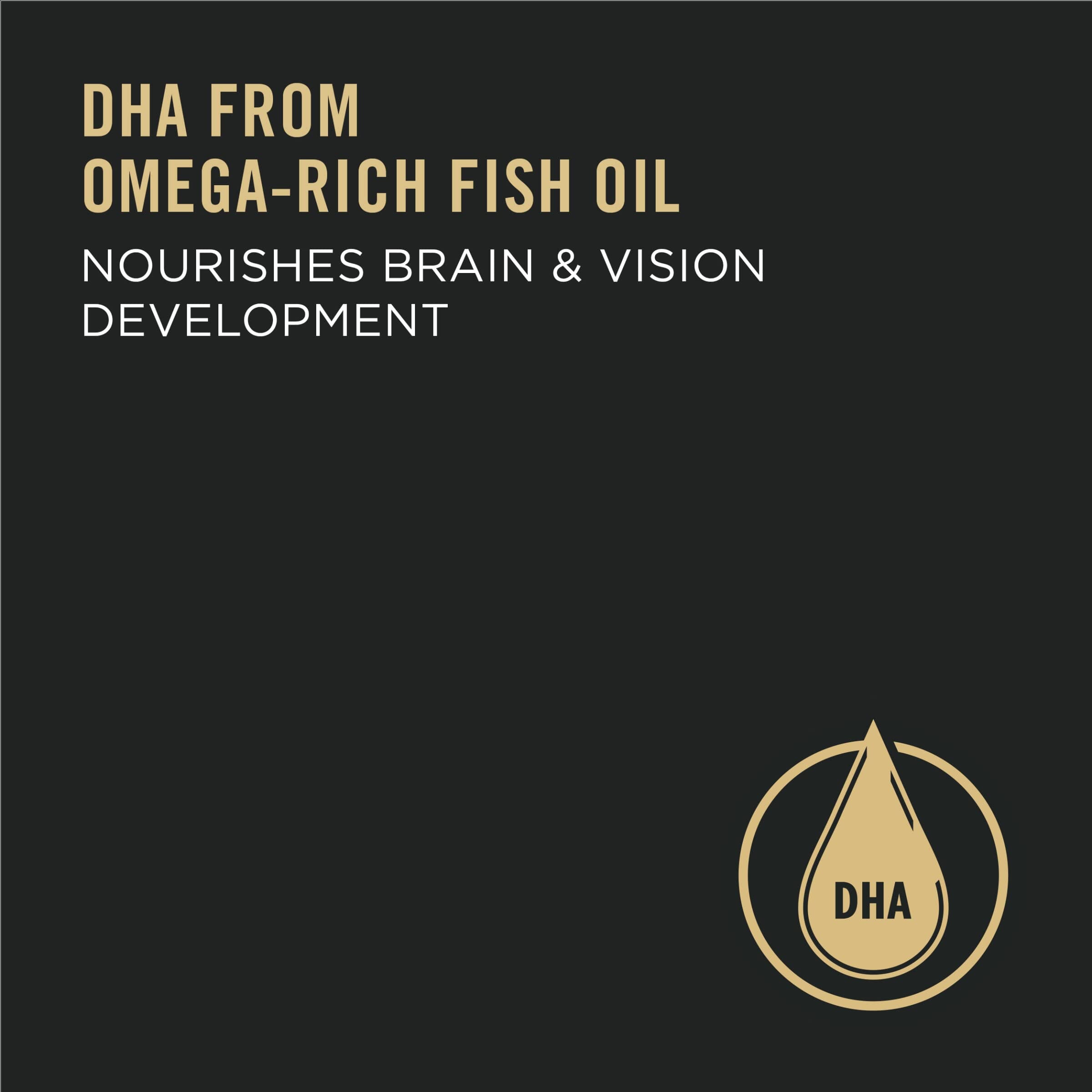 Purina Puppy Chow Complete High-Protein Chicken and Rice Puppy Dry Dog Food - 15 Lbs