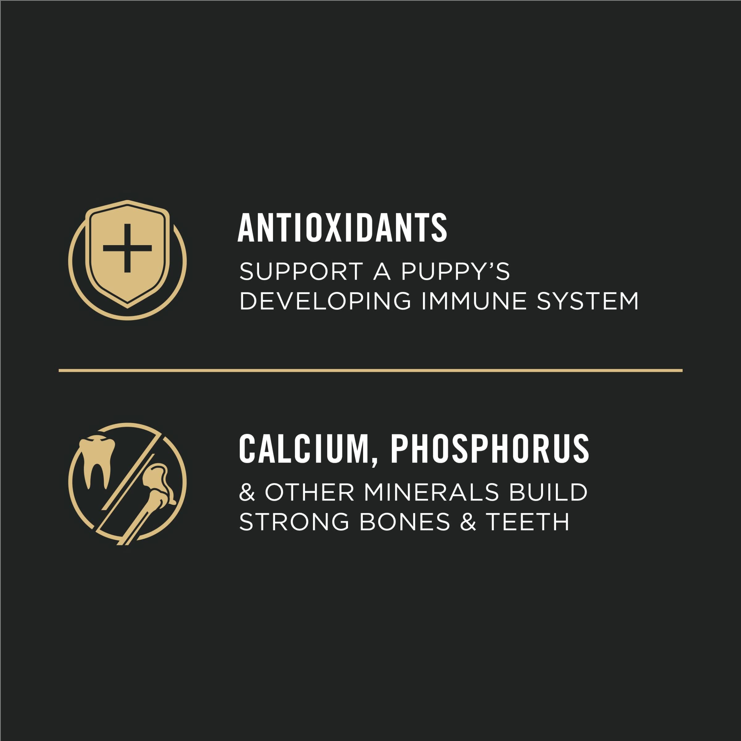 Purina Puppy Chow Complete High-Protein Chicken and Rice Puppy Dry Dog Food - 15 Lbs