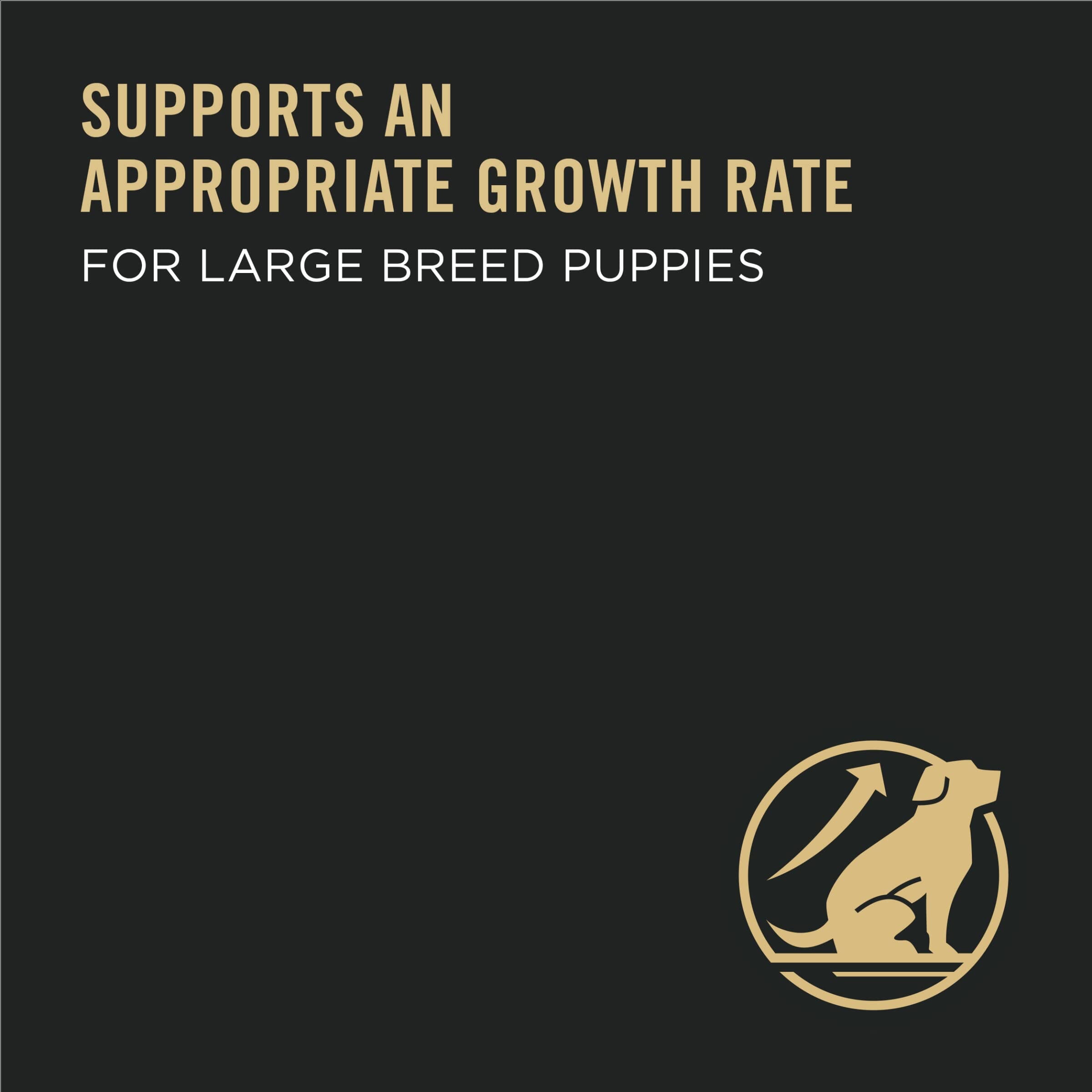 Purina Puppy Chow High-Protein Chicken Formula Large-Breed Puppy Dry Dog Food - 30 Lbs