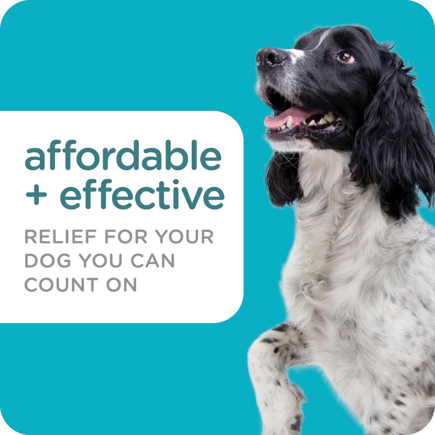 Sergeant's Guardian PRO Flea & Tick Topical for Dogs 3 Count