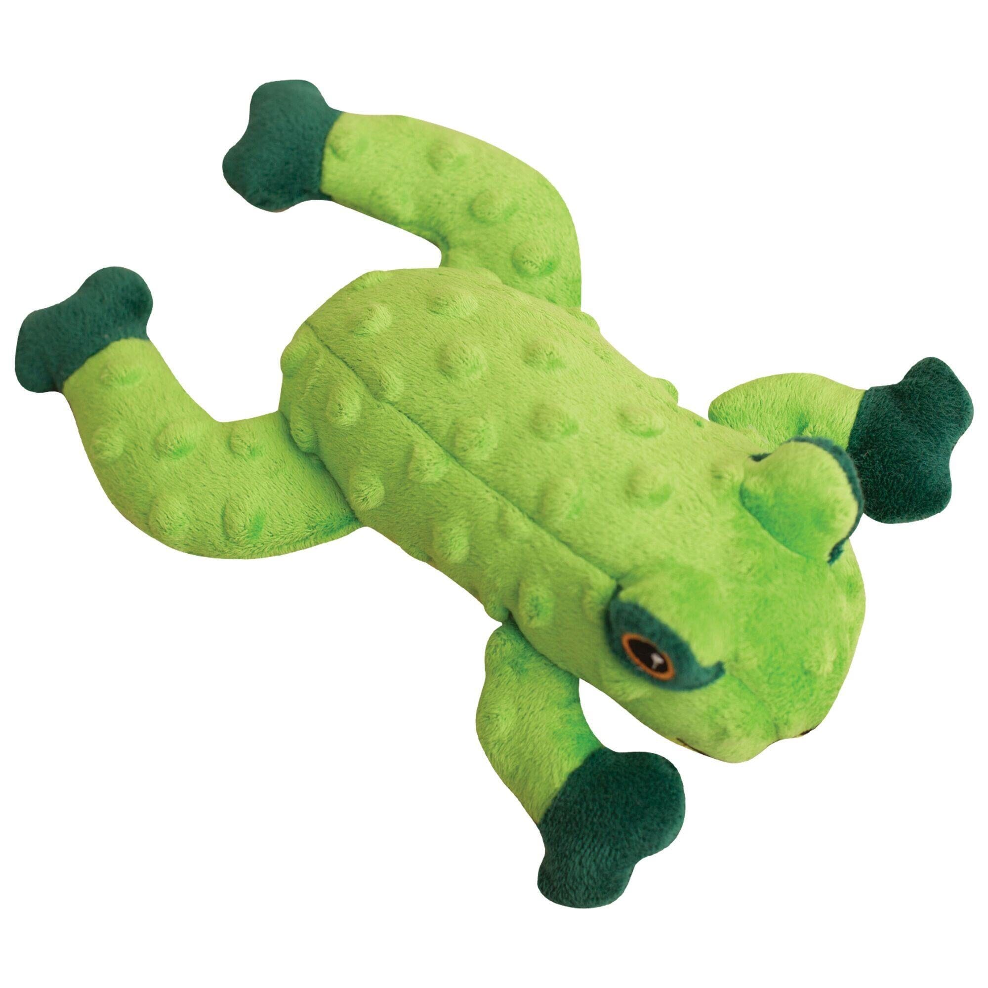 Snugarooz Lilly The Frog Squeak and Plush Dog Toy - Green - 10" Inches