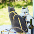 Touchcat ® Animal Patterned Fashion Cat Harness and Leash