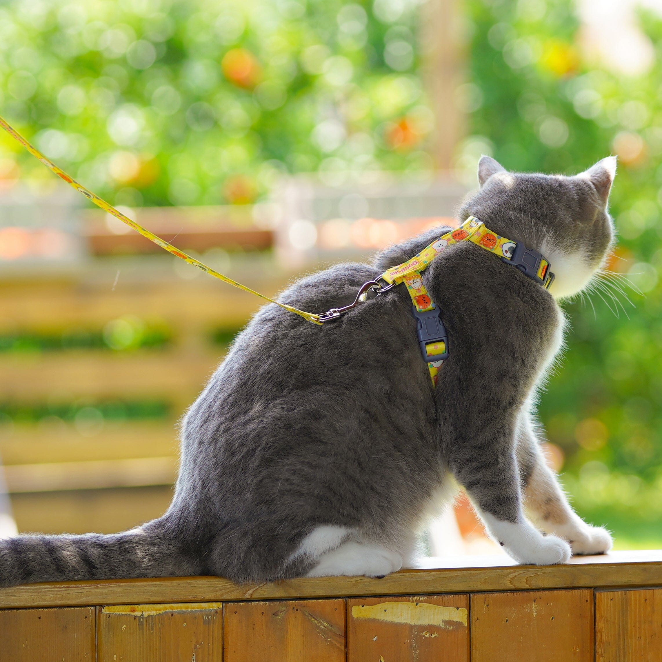 Touchcat ® Animal Patterned Fashion Cat Harness and Leash