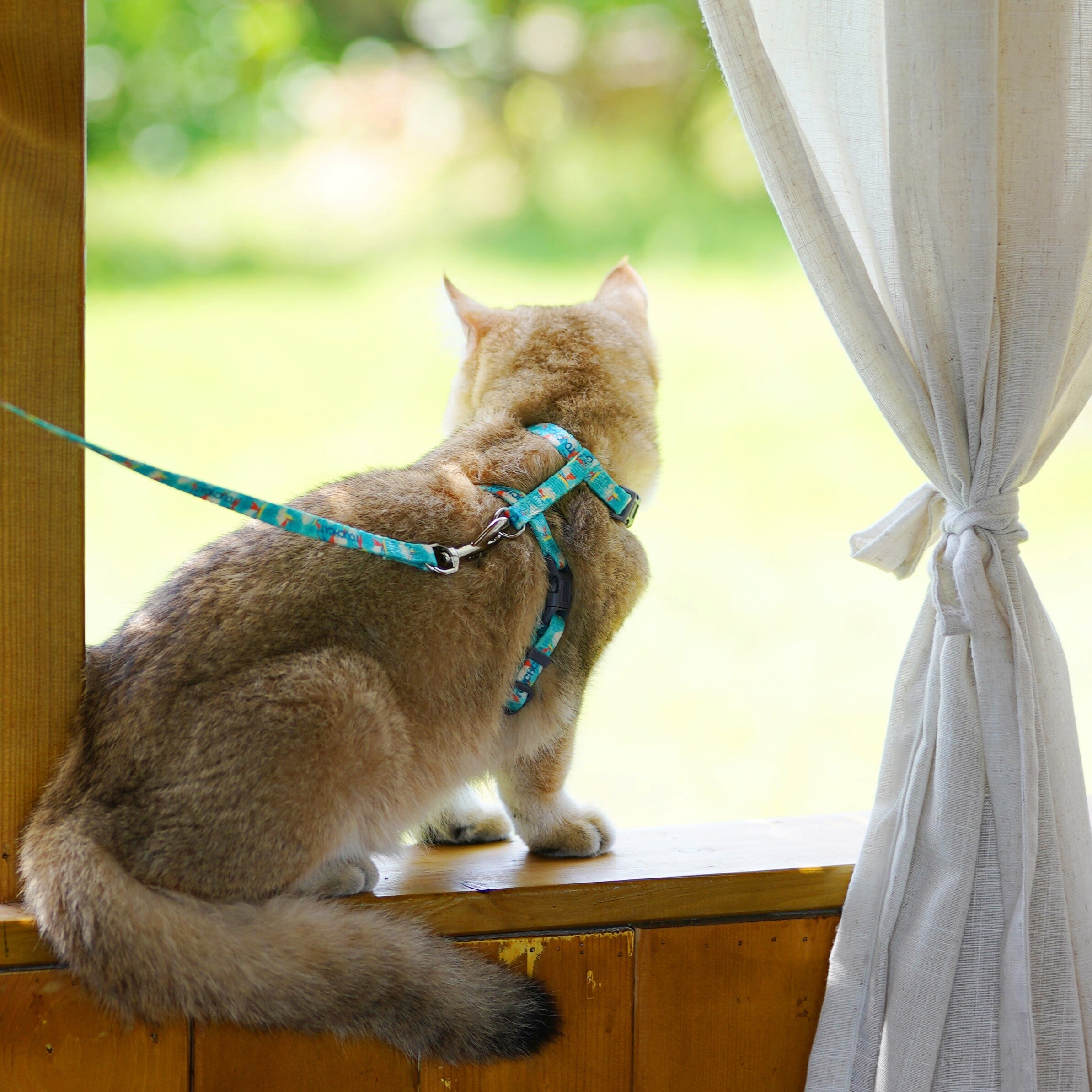 Touchcat ® Avery Patterned Fashion Cat Harness and Leash