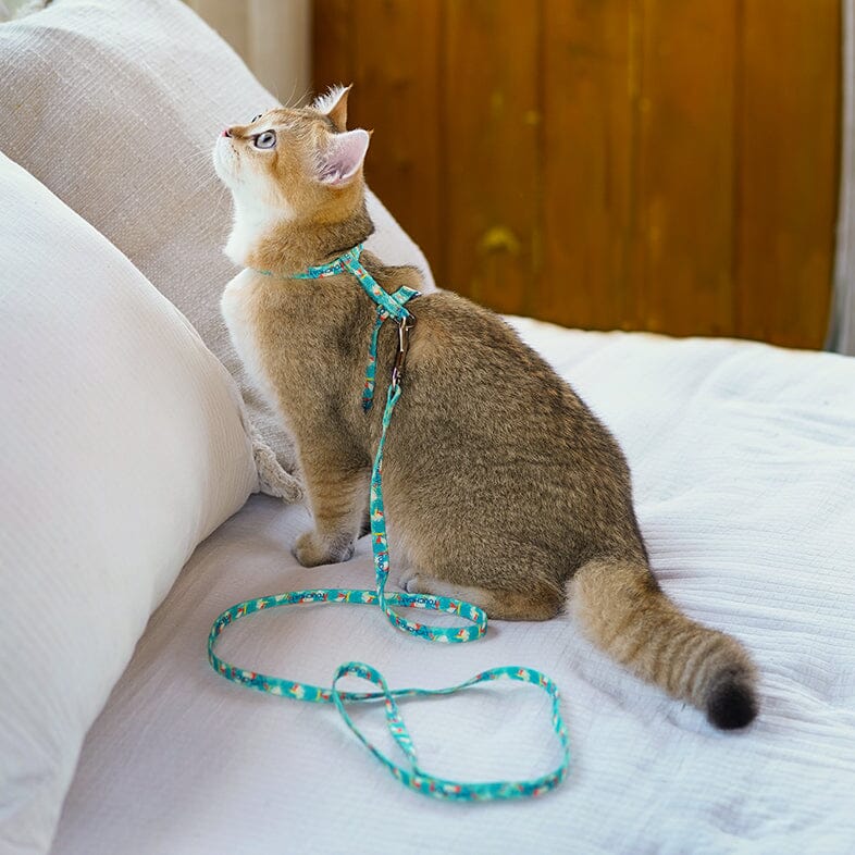 Touchcat ® Avery Patterned Fashion Cat Harness and Leash