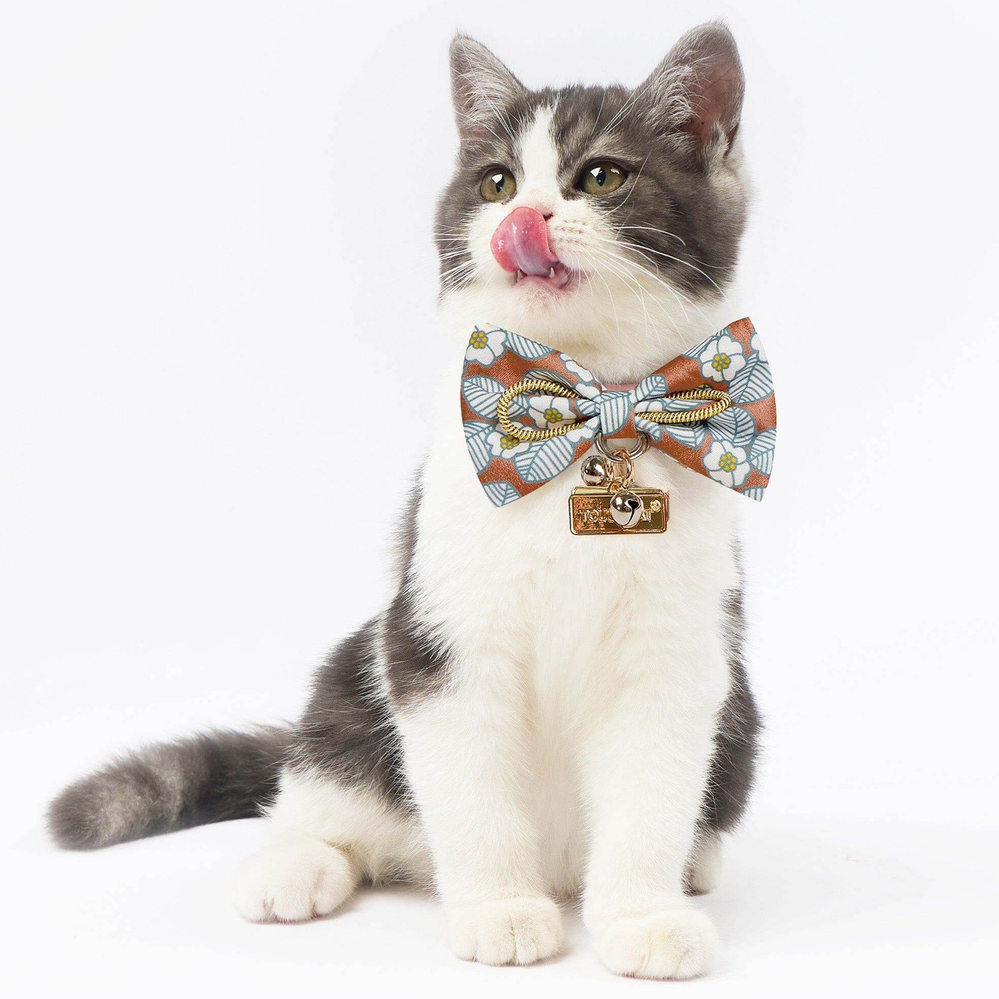 Touchcat ® Floral Patterned Designer Cat Collar with Bow - Brown - Small