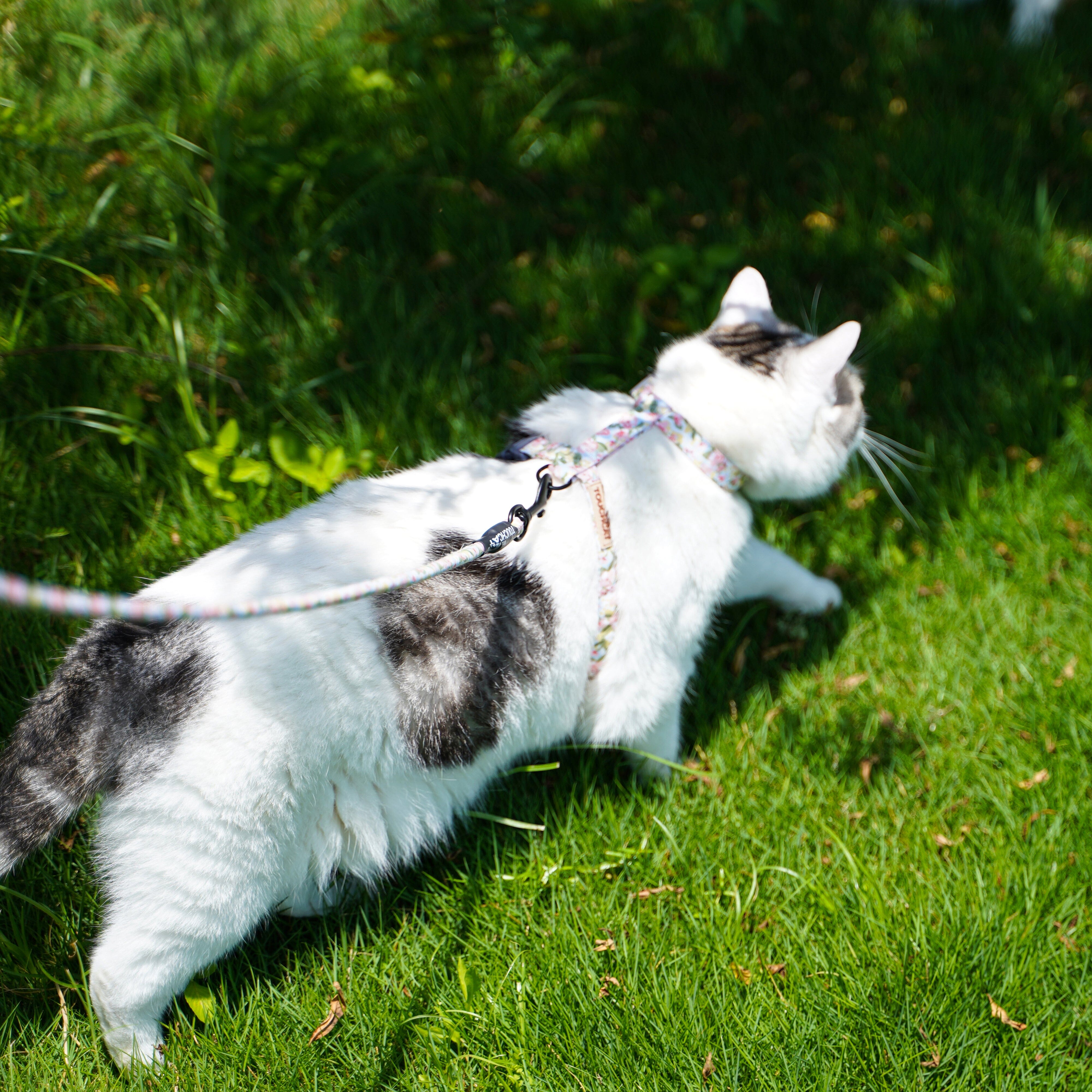 Touchcat ® Floral Patterned Fashion Cat Harness and Leash