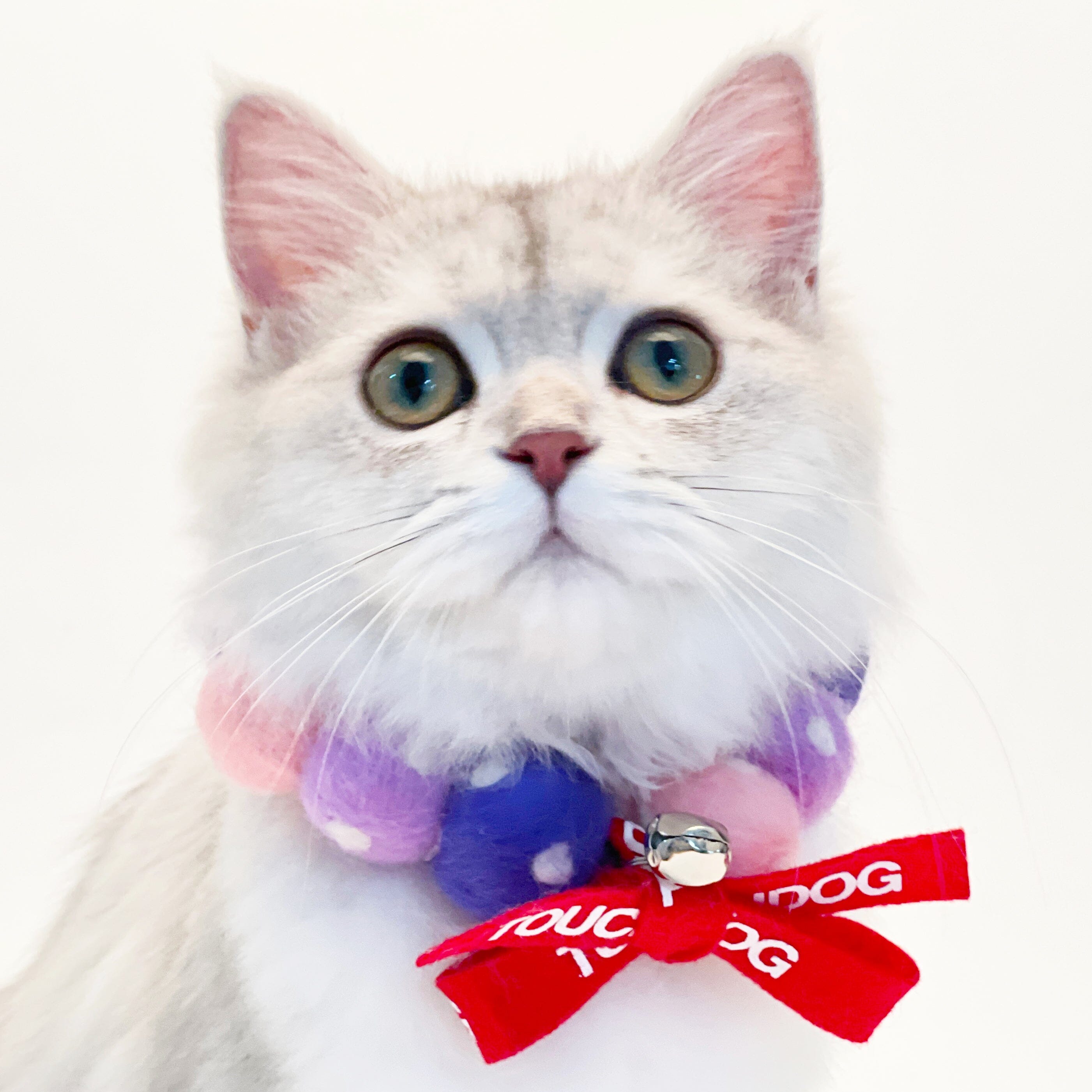 Touchcat ® Pom-Pom Patterned Designer Cat Neck Collar with Chime Bell - Pink and Purple