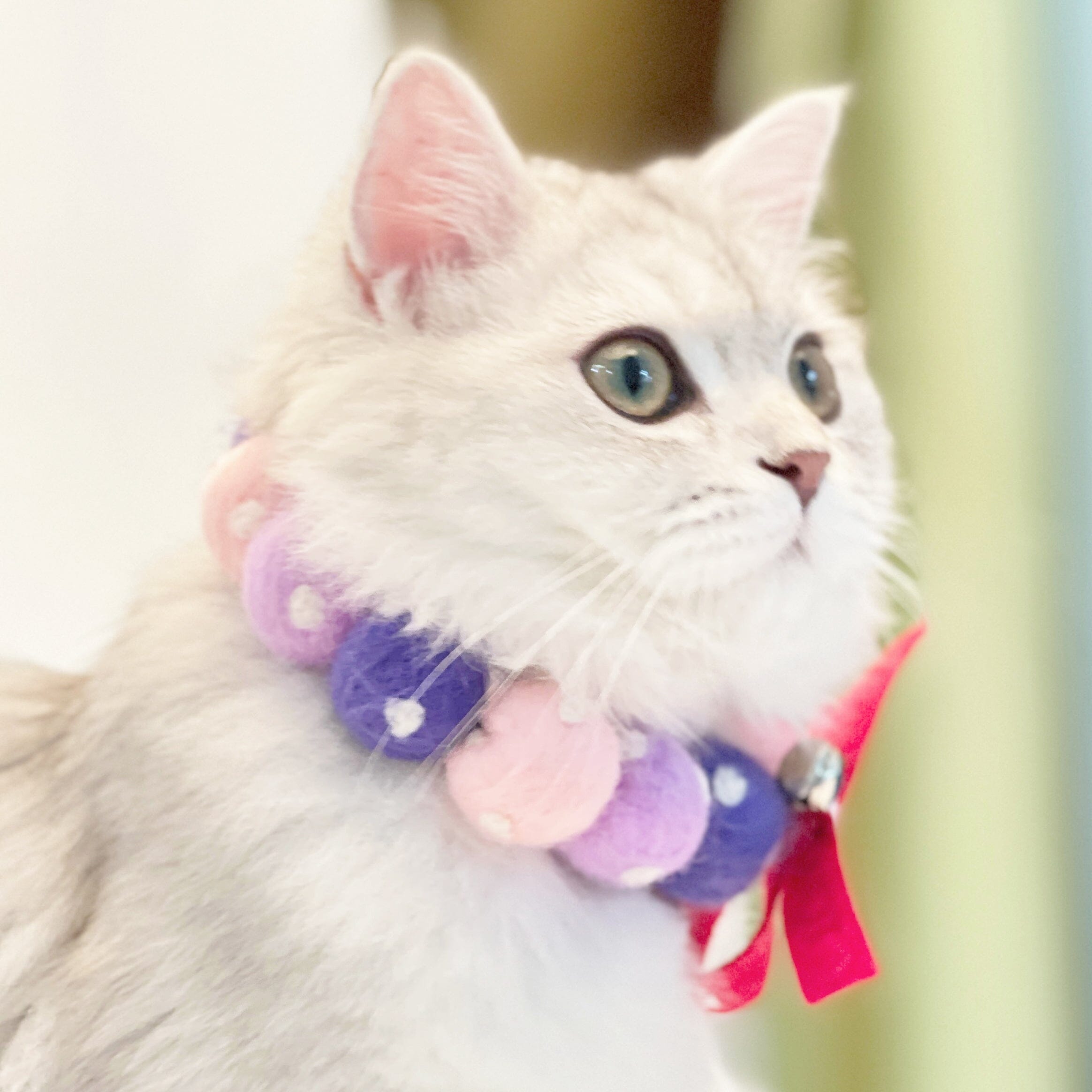 Touchcat ® Pom-Pom Patterned Designer Cat Neck Collar with Chime Bell - Pink and Purple