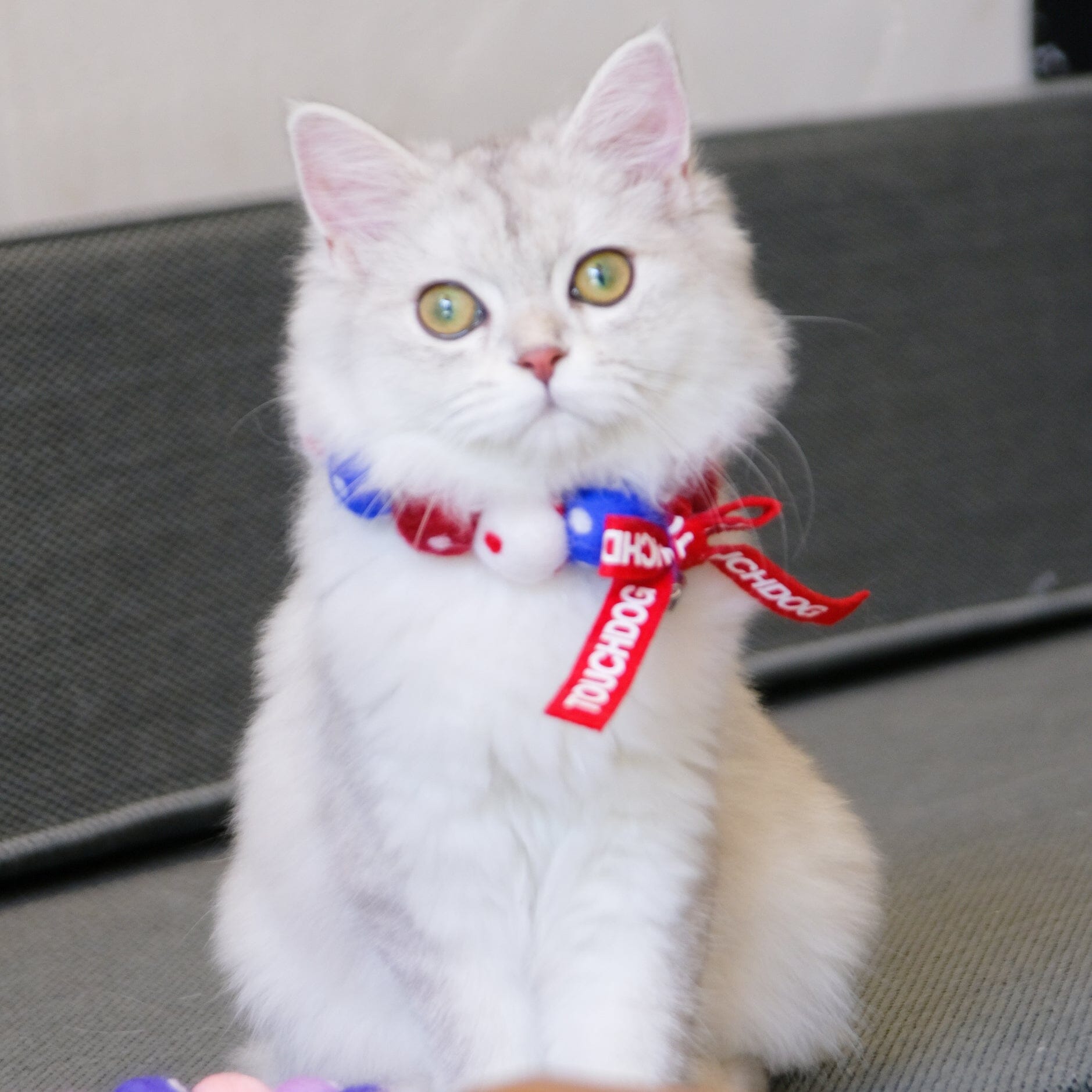 Touchcat ® Pom-Pom Patterned Designer Cat Neck Collar with Chime Bell - Red White and Blue
